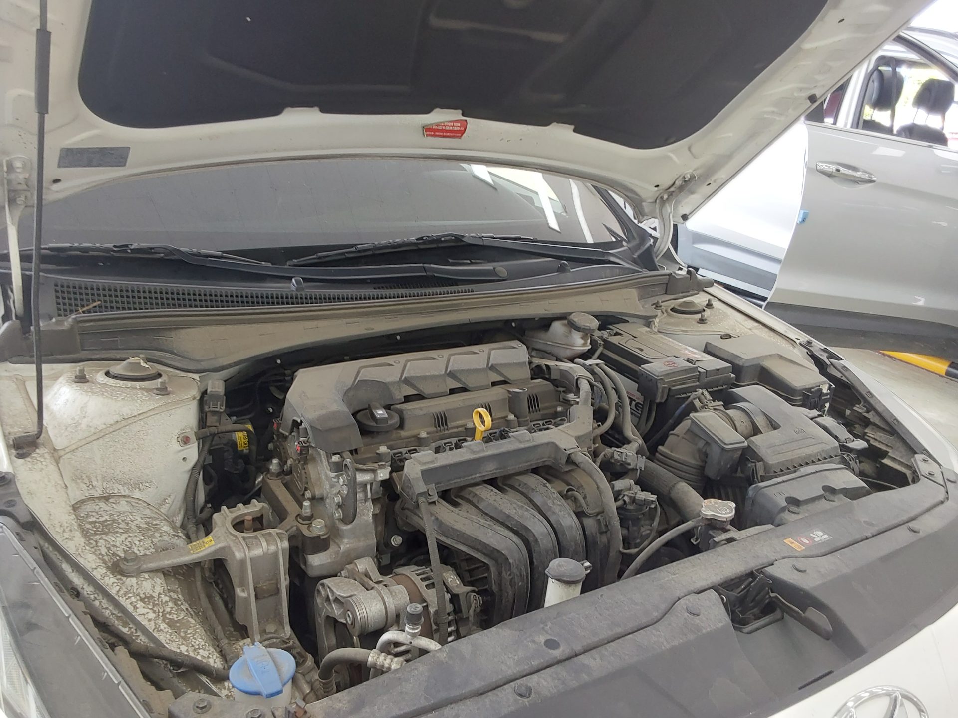HYUNDAI AVANTE (CN7) 1.6 GASOLINE SMART 2022 - zdjęcie 18