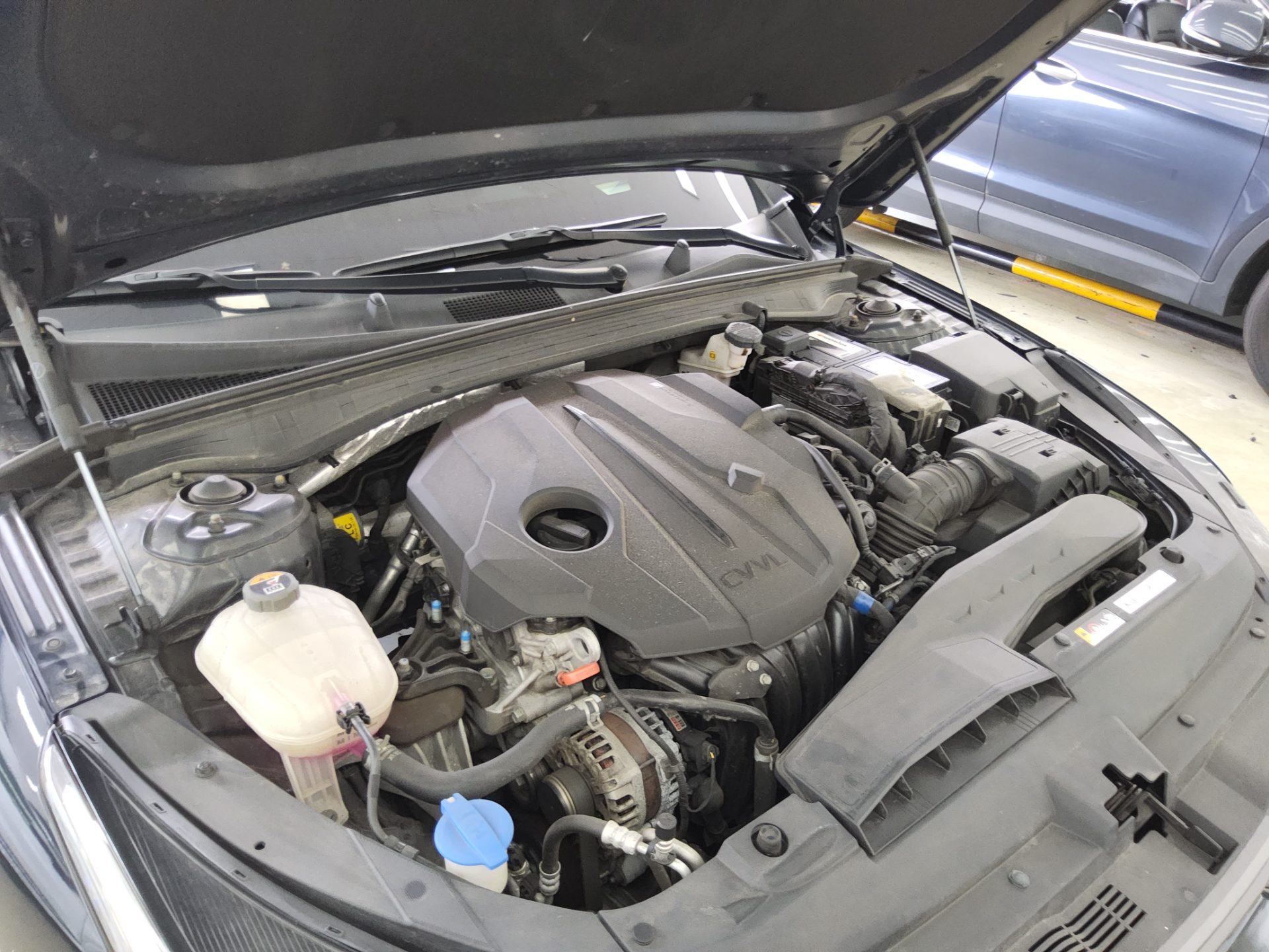 KIA NEW K5 (DL3) 2.0 GASOLINE NOBLESSE 2022 - zdjęcie 19