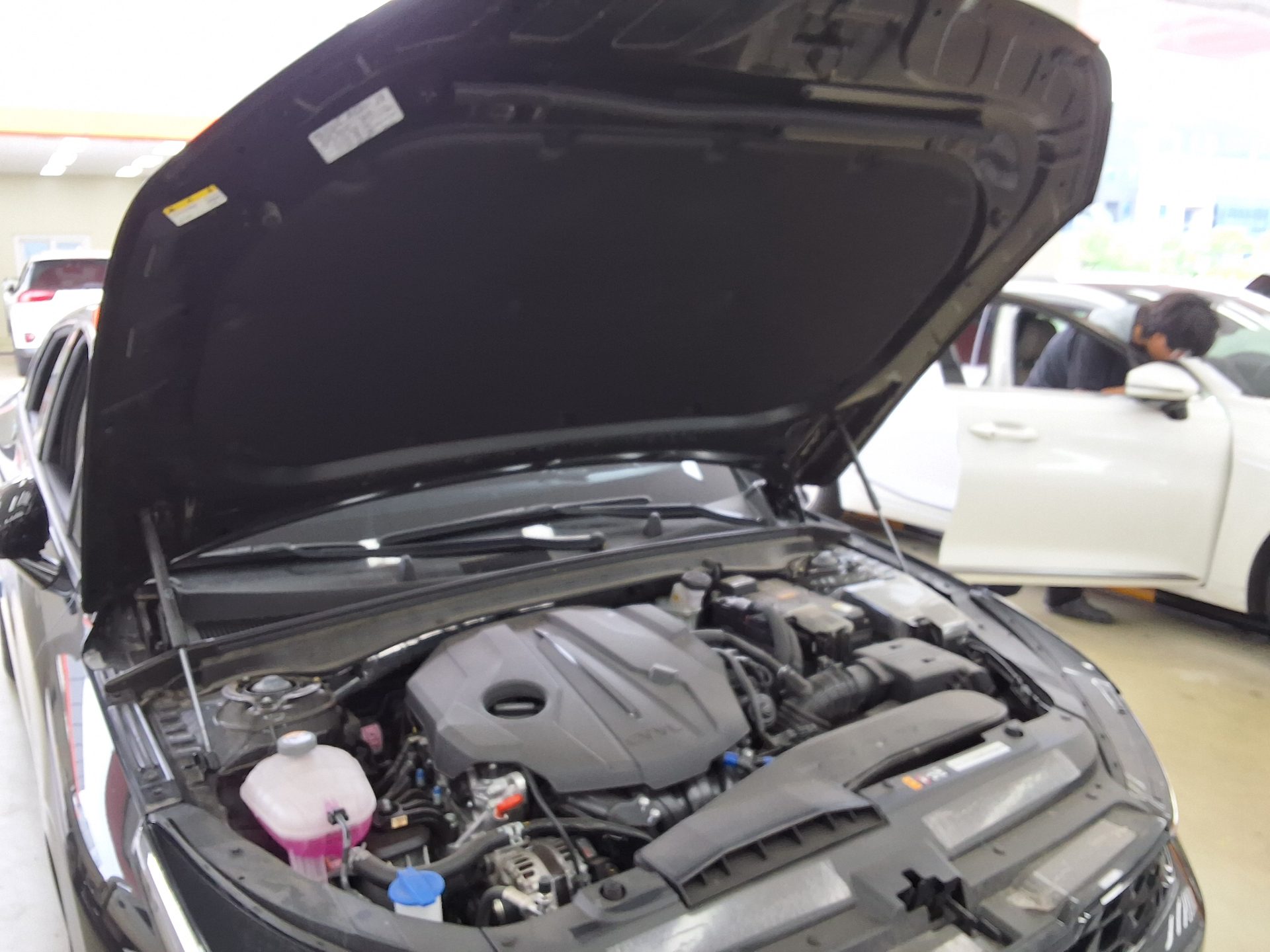 KIA THE NEW K5 (DL3) 2.0 GASOLINE PRESTIGE 2026 - zdjęcie 18