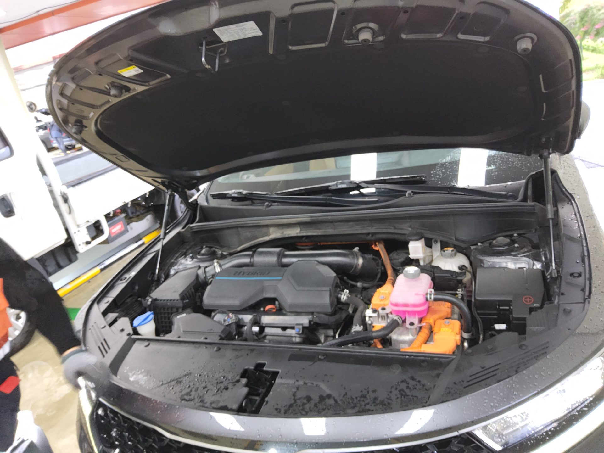 KIA NEW SORENTO HYBRID (MQ4) 1.6 HEV 2WD PRESTIGE 2023 - zdjęcie 20