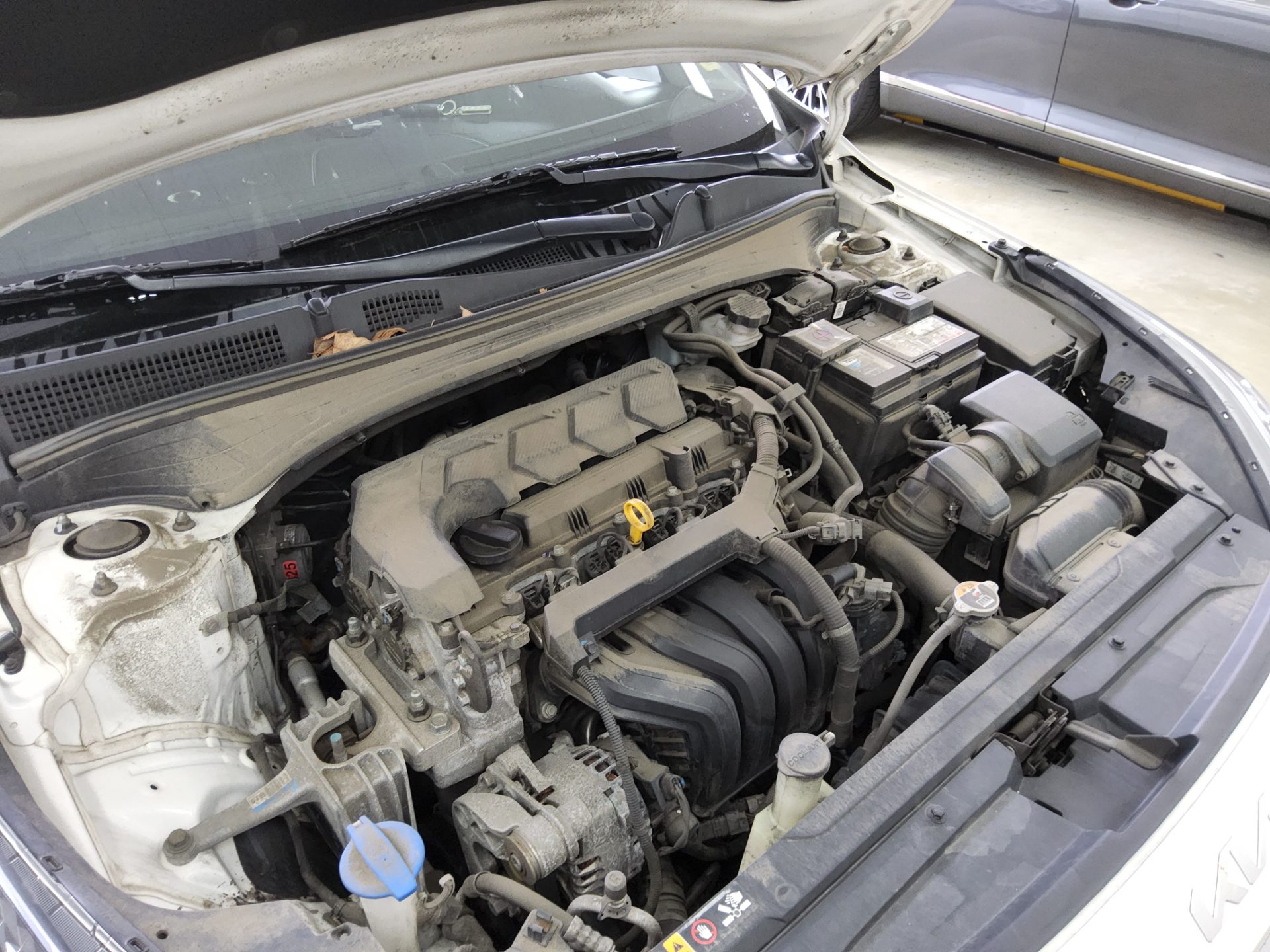 KIA THE NEW K3 1.6 GASOLINE TRENDY 2022 - zdjęcie 18