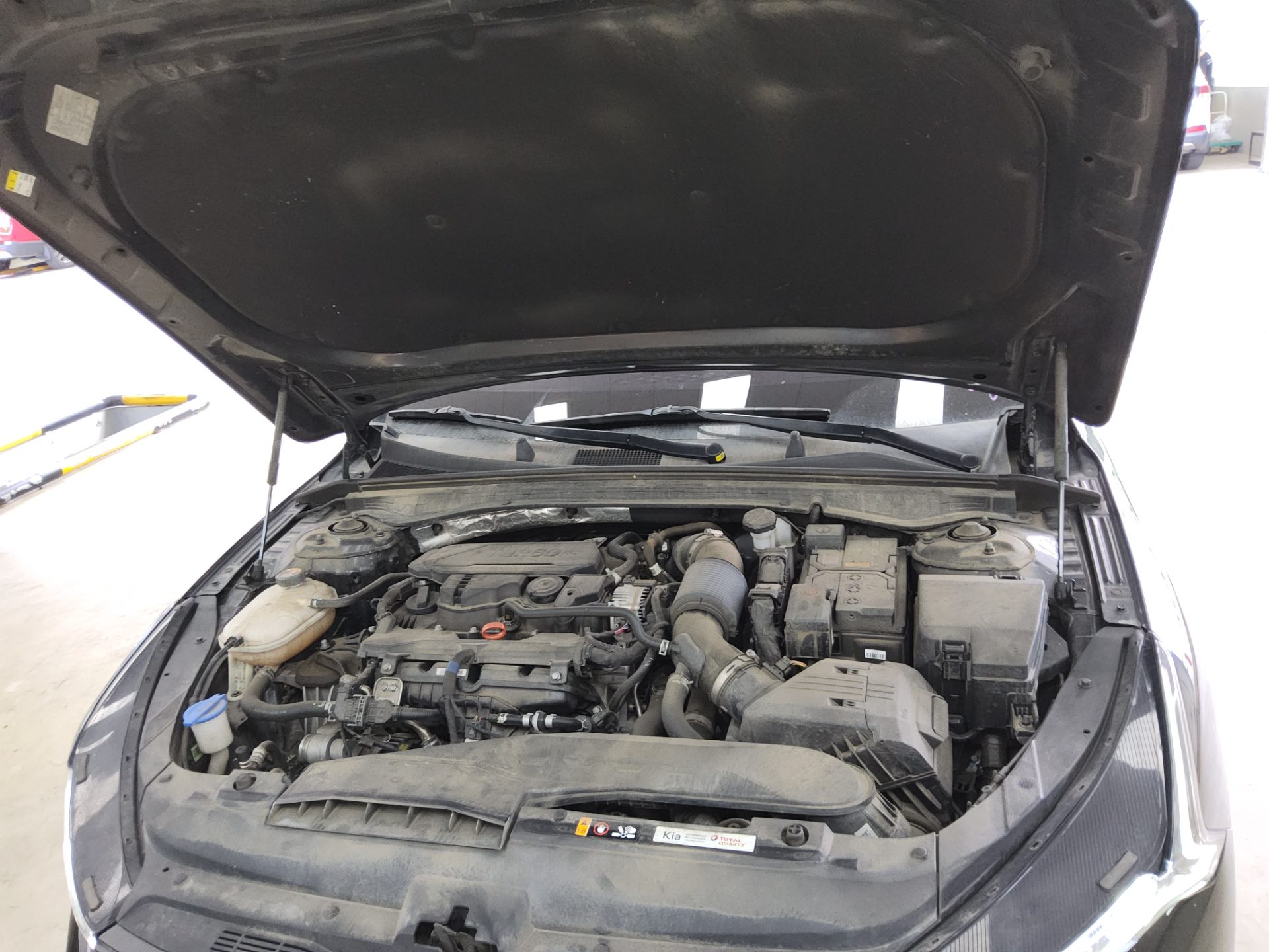 KIA NEW K5 (DL3) 1.6 GASOLINE TURBO NOBLESSE 2022 - zdjęcie 20