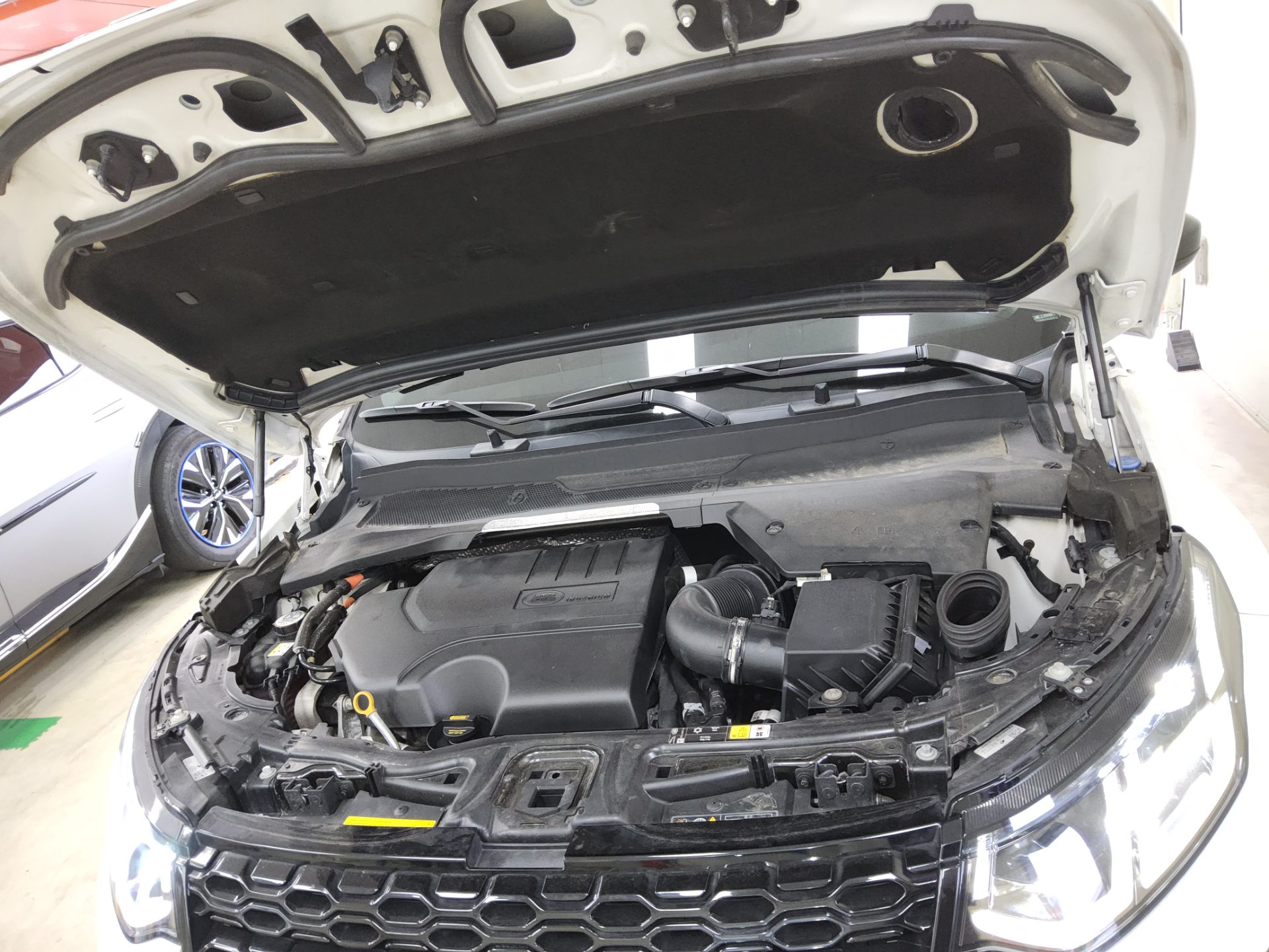 LAND ROVER DISCOVERY SPORT 2.0 P250 SE 2023 - zdjęcie 21