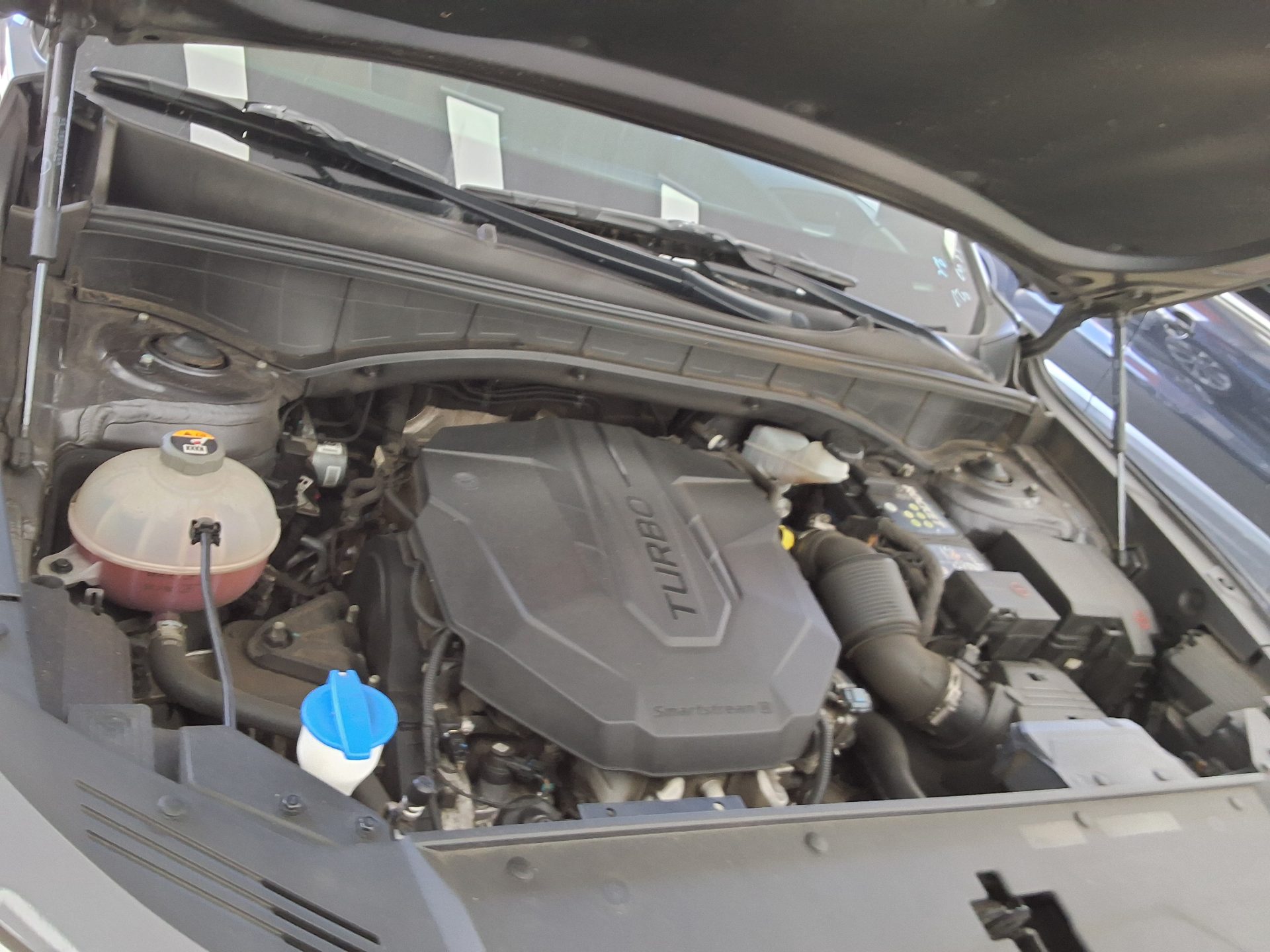 KIA NEW SORENTO (MQ4) 2.2 DIESEL 4WD SIGNATURE 2021 - zdjęcie 22