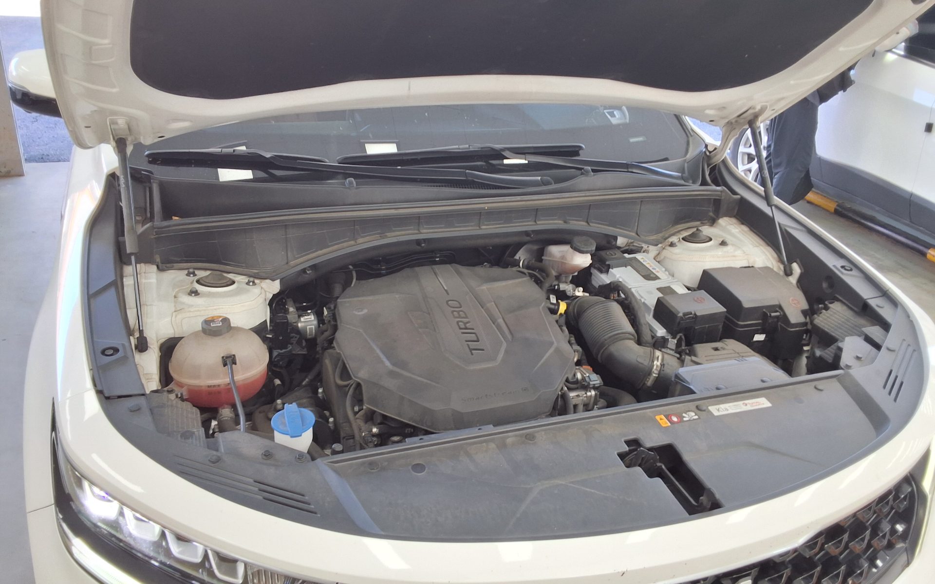 KIA NEW SORENTO (MQ4) 2.2 DIESEL 2WD NOBLESSE 2022 - zdjęcie 21