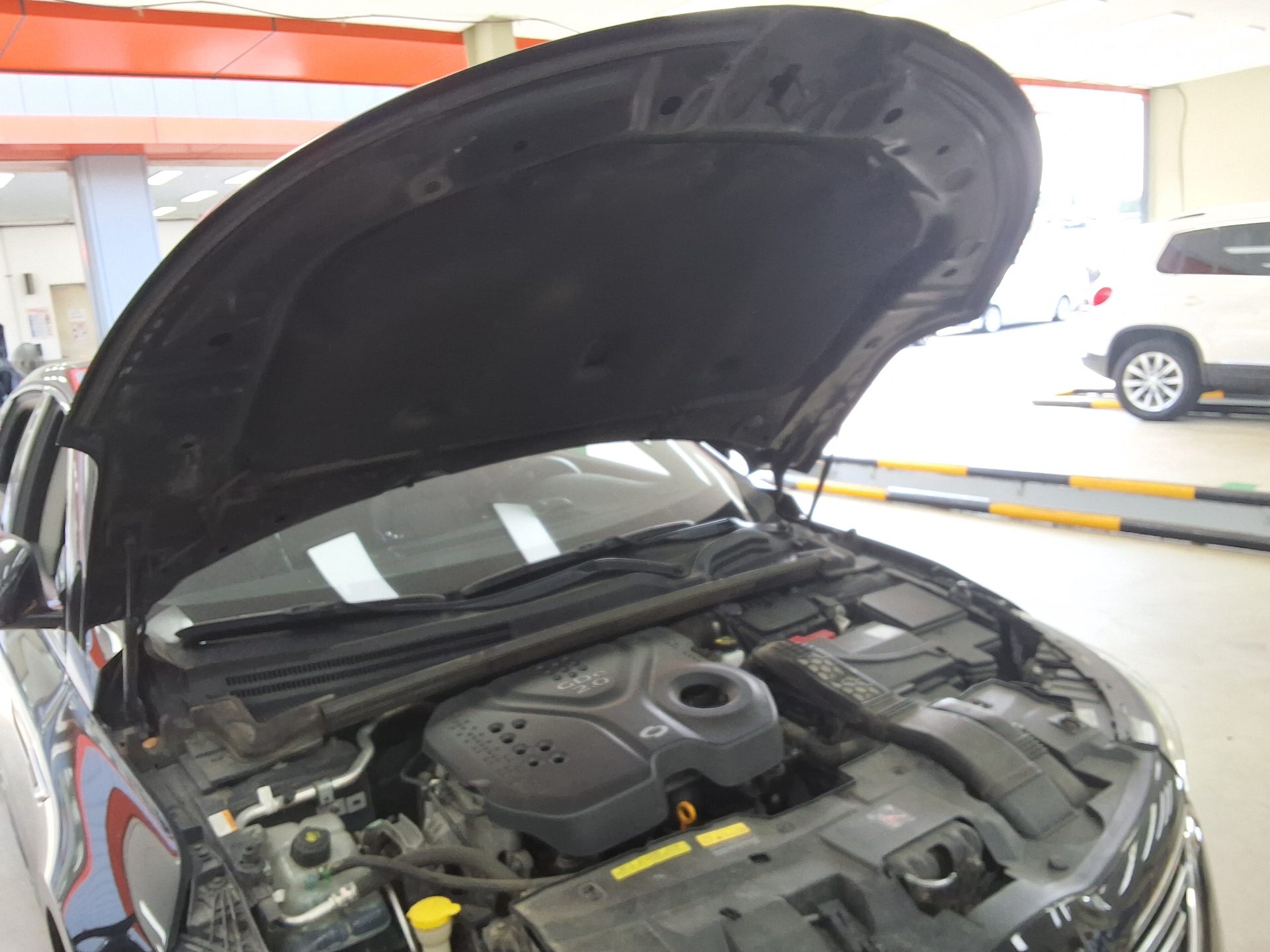 RENAULT (SAMSUNG) SM6 2.0 GDe SE 2016 - zdjęcie 18