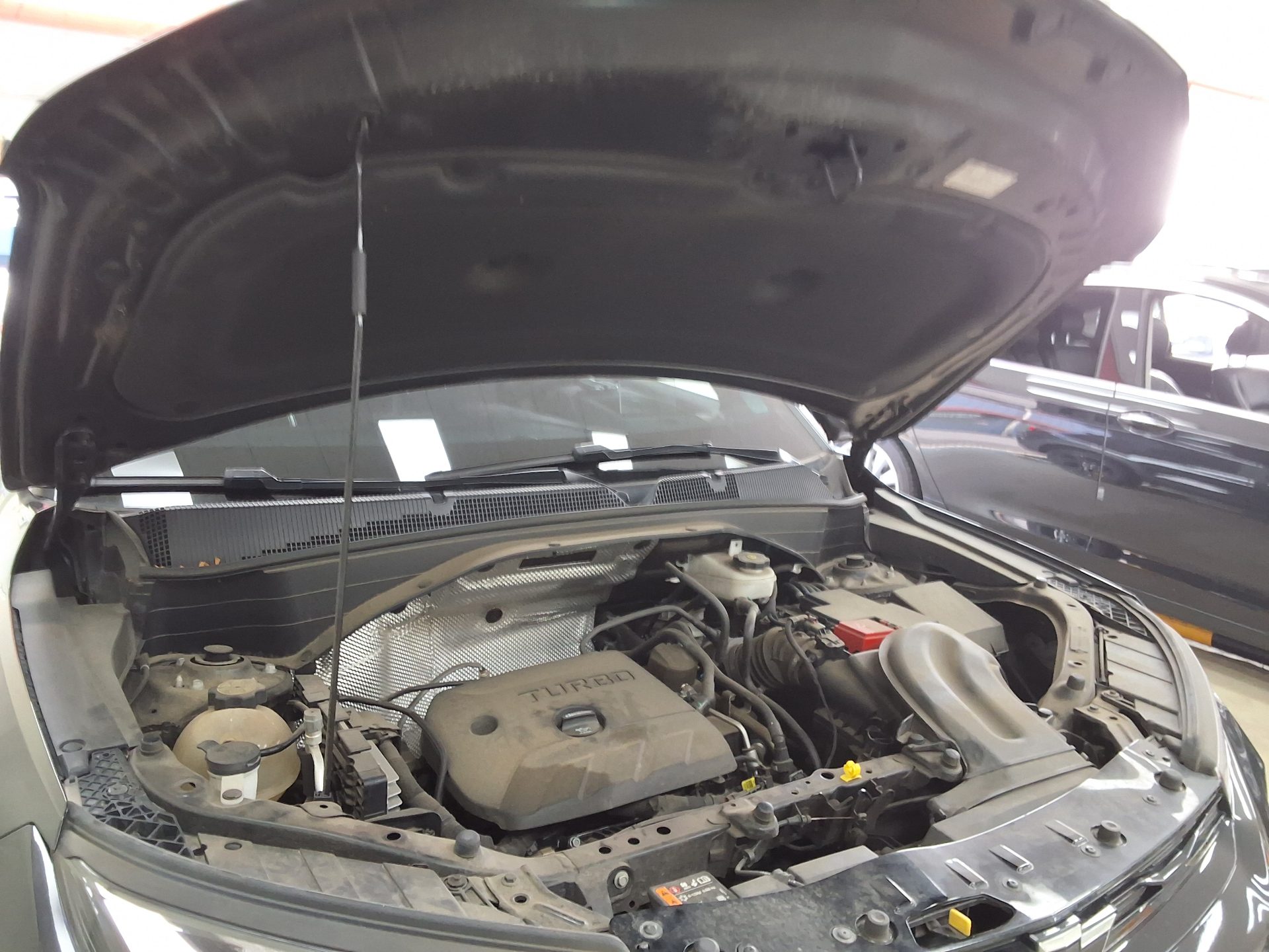 CHEVROLET (DAEWOO) TRAILBLAZER 1.35 GASOLINE RS 2022 - zdjęcie 18