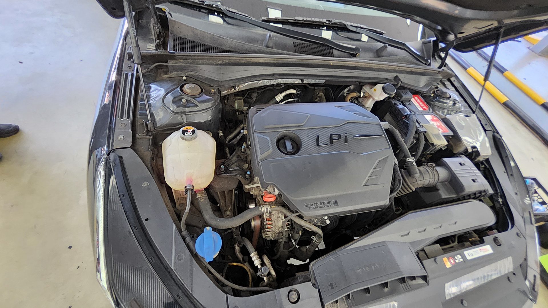 KIA NEW K5 (DL3) 2.0 LPI RENTAL CAR STANDARD 2023 - zdjęcie 19