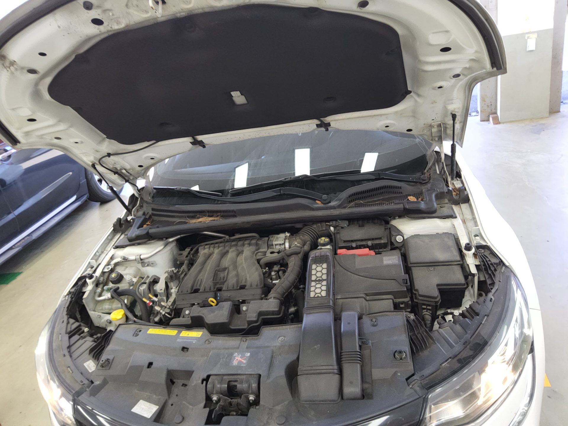 RENAULT (SAMSUNG) SM6 2.0 LPe RENTAL CAR SE 2019 - zdjęcie 20
