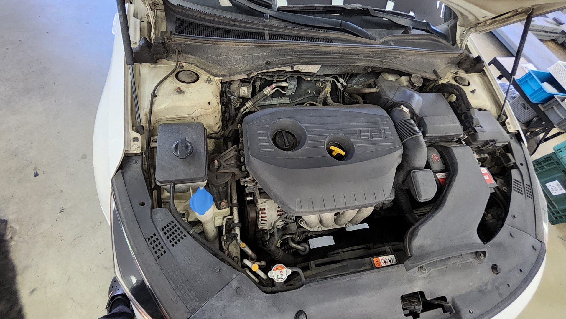 KIA NEW K5 2.0 LPI RENTAL CAR PRESTIGE SX 2016 - zdjęcie 21