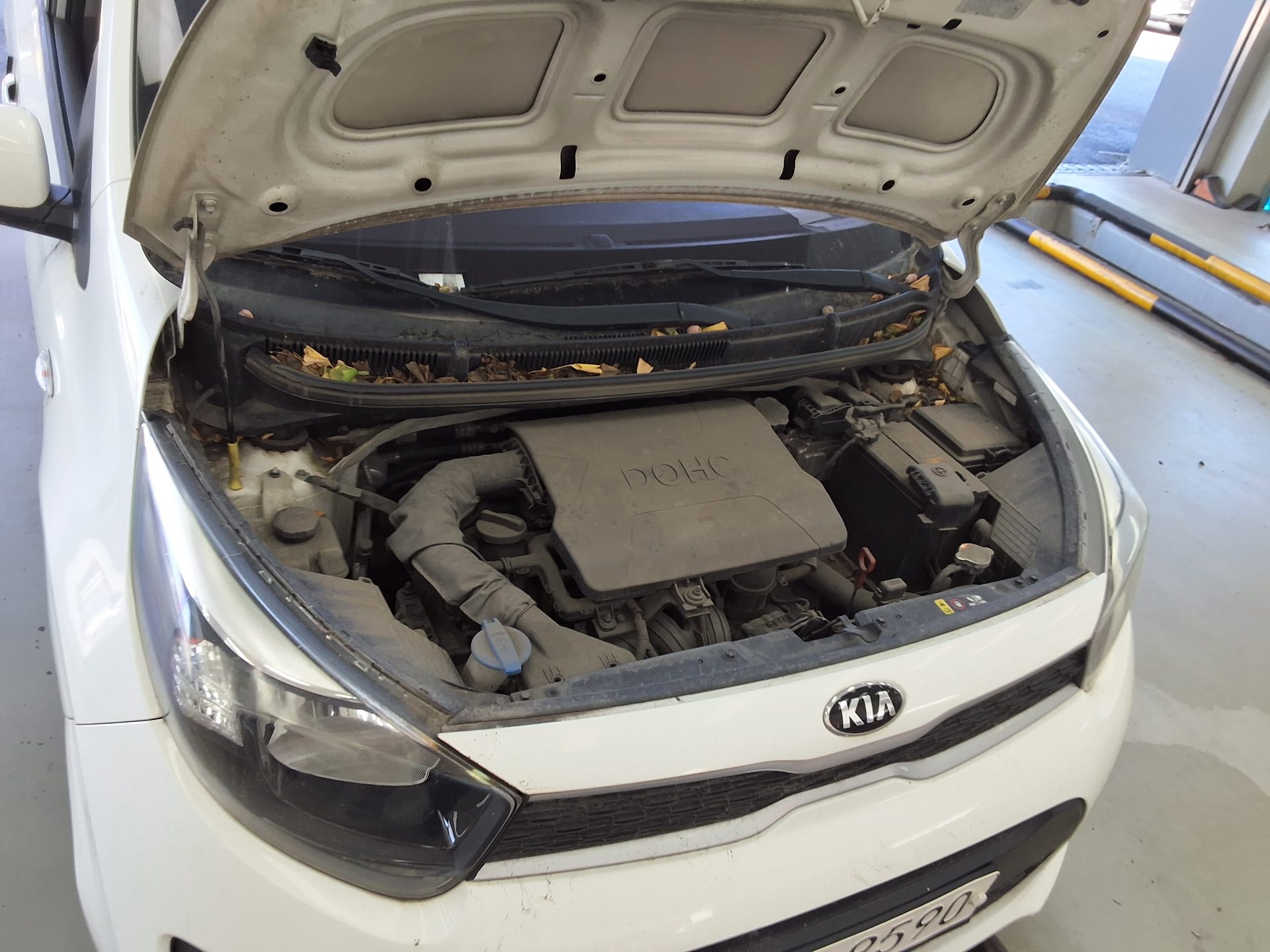KIA ALL NEW MORNING (JA) VAN PREMIUM MODEL 2017 - zdjęcie 18