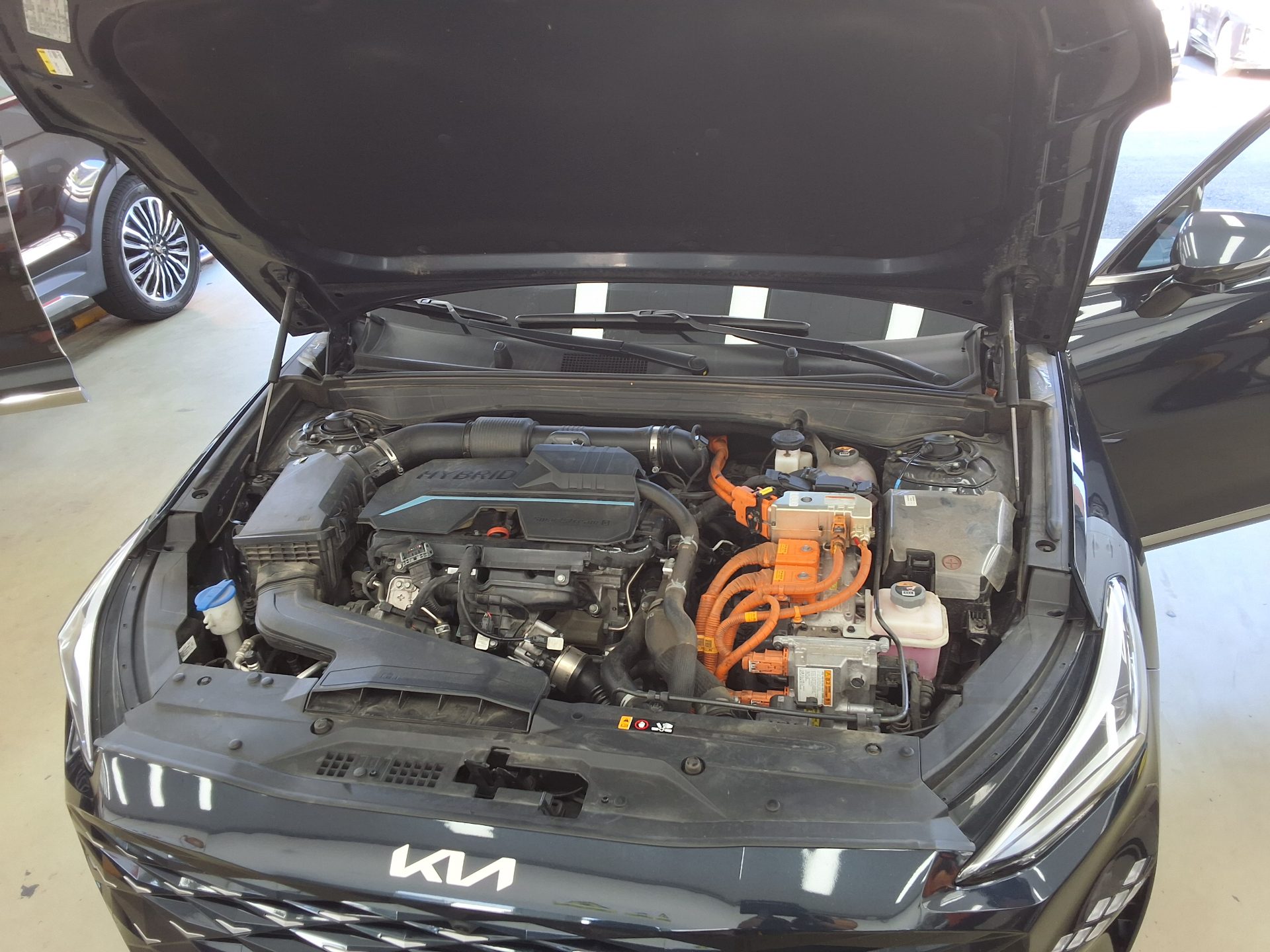 KIA K8 HYBRID HEV NOBLESSE 2024 - zdjęcie 18