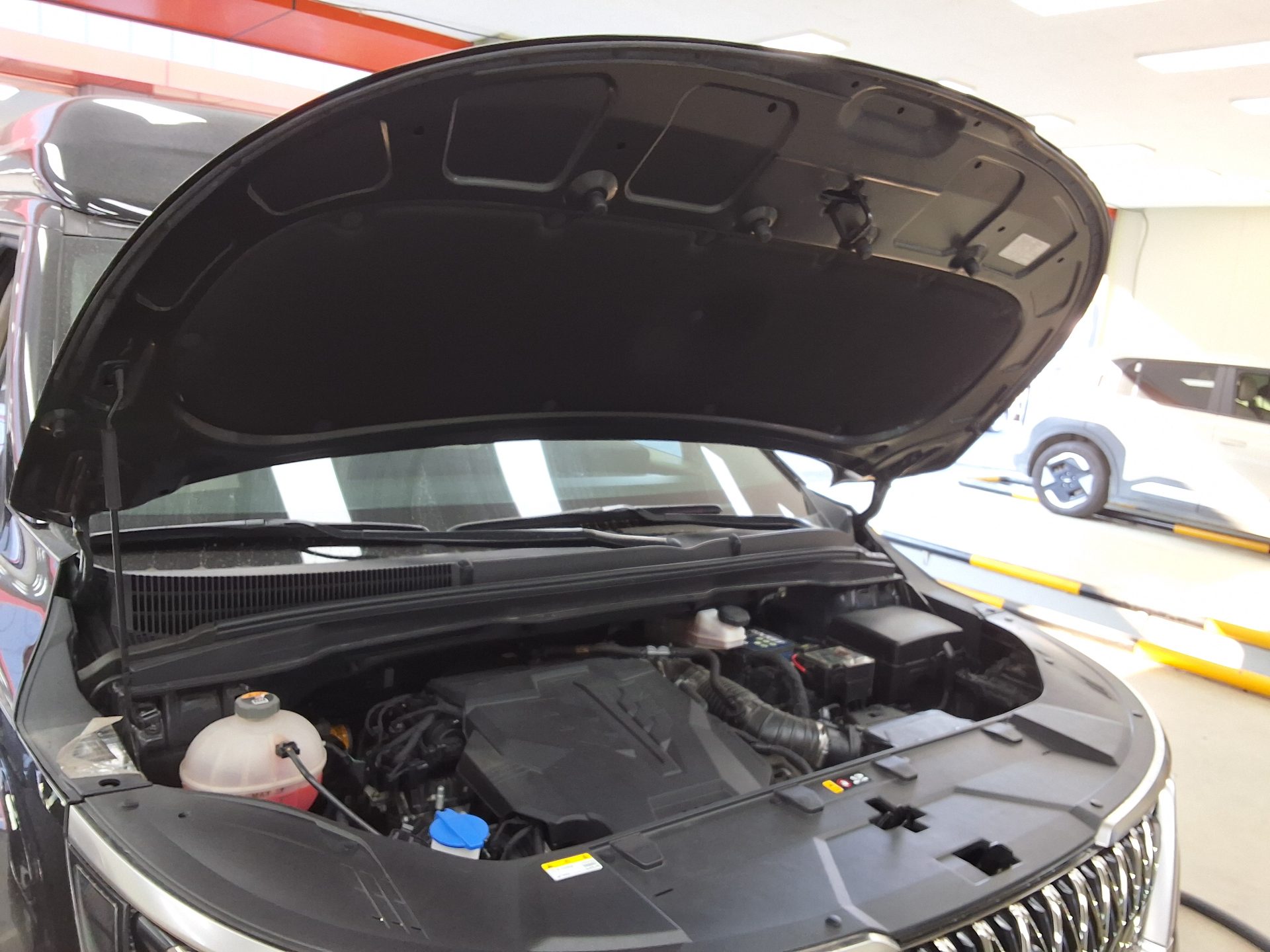 KIA NEW CARNIVAL (KA4) HI-LIMOUSINE SPECIAL BODY LM 2023 - zdjęcie 18