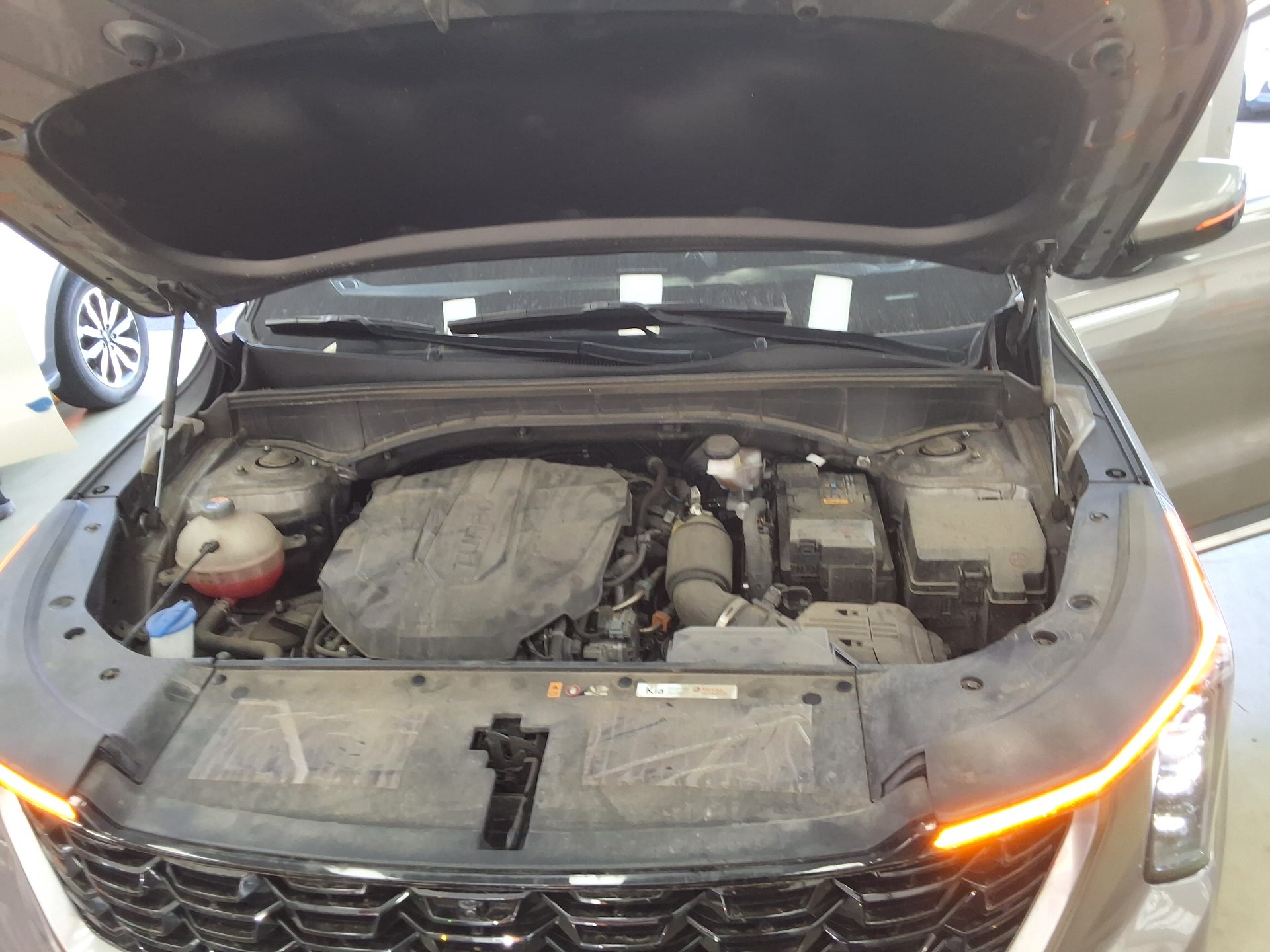 KIA THE NEW SORENTO (MQ4) 2.2 DIESEL 2WD NOBLESSE 2024 - zdjęcie 19