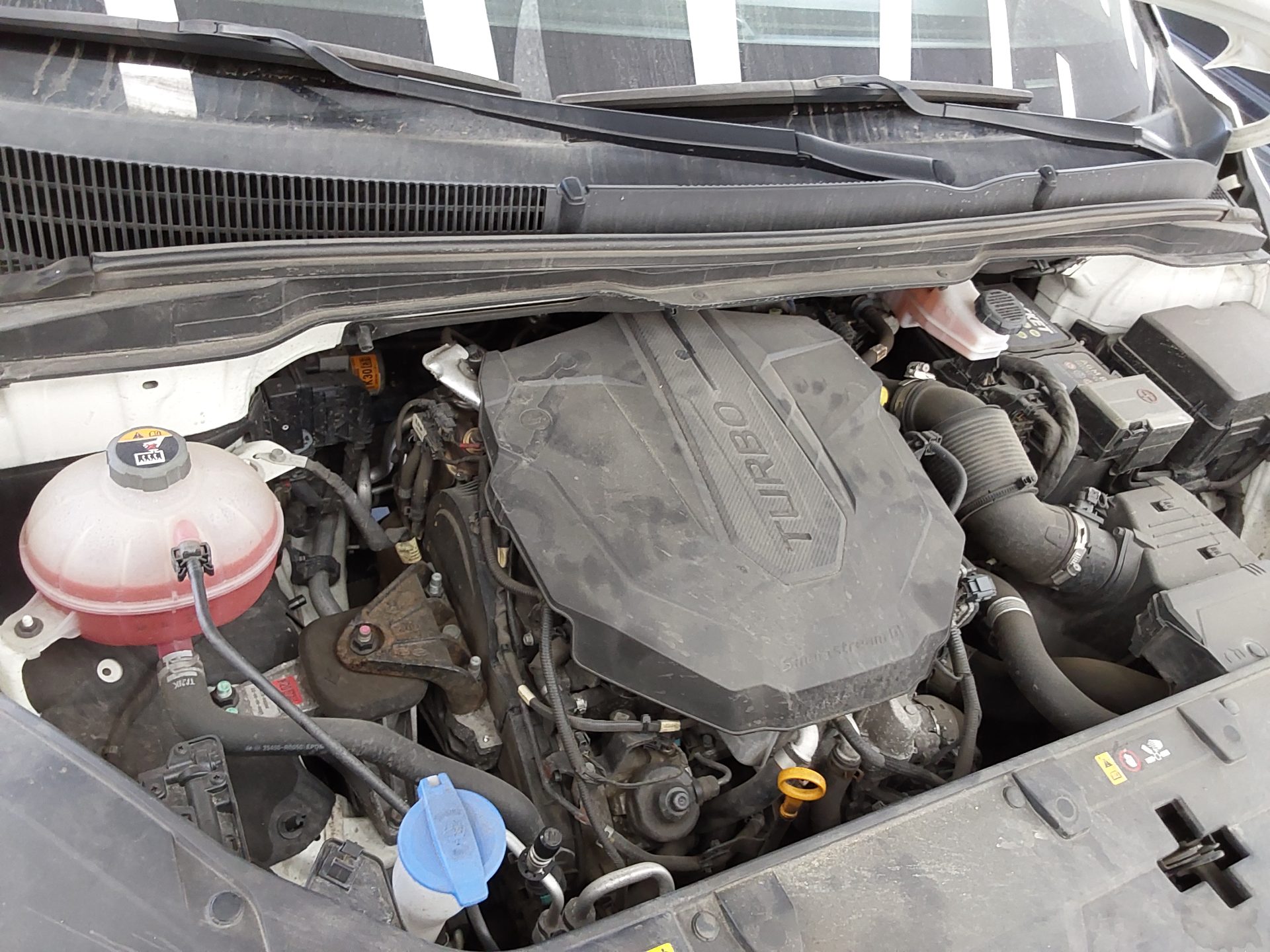 KIA NEW CARNIVAL (KA4) 9-SEATER DIESEL SIGNATURE 2023 - zdjęcie 17