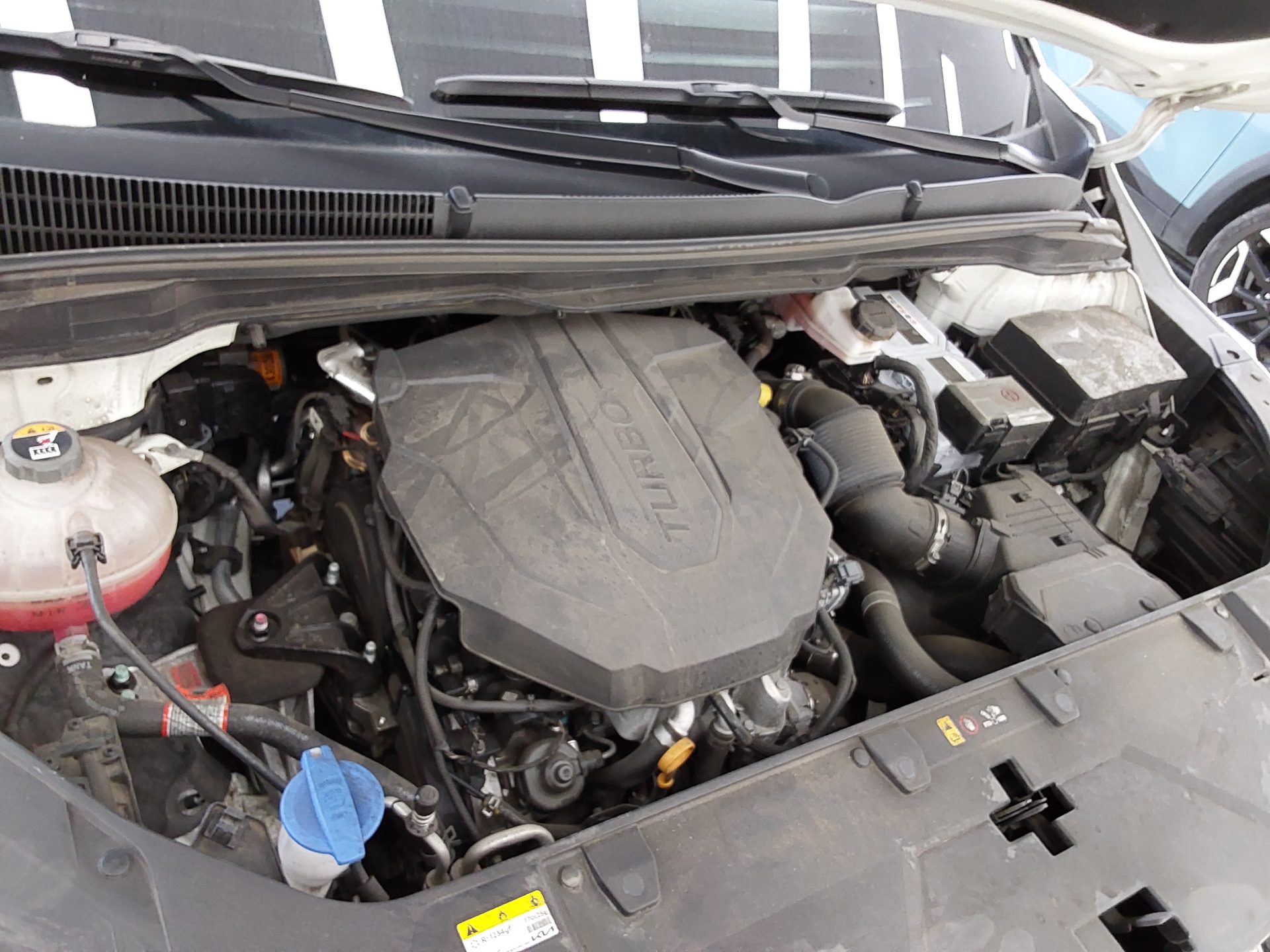 KIA NEW CARNIVAL (KA4) 9-SEATER DIESEL PRESTIGE 2022 - zdjęcie 18