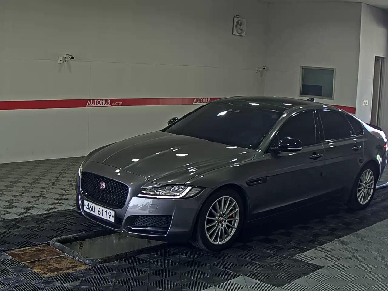 JAGUAR 재규어