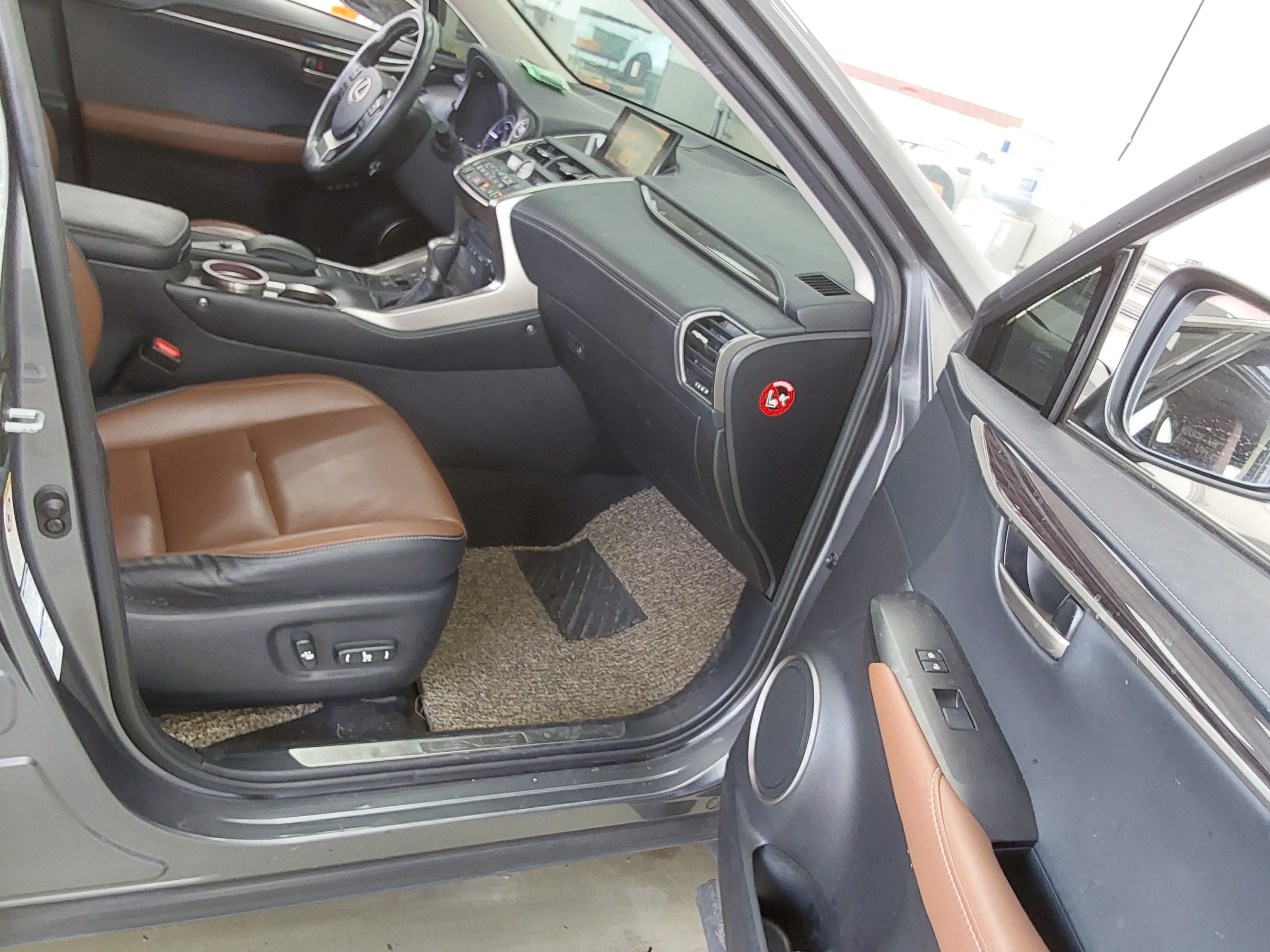 LEXUS NX - 13