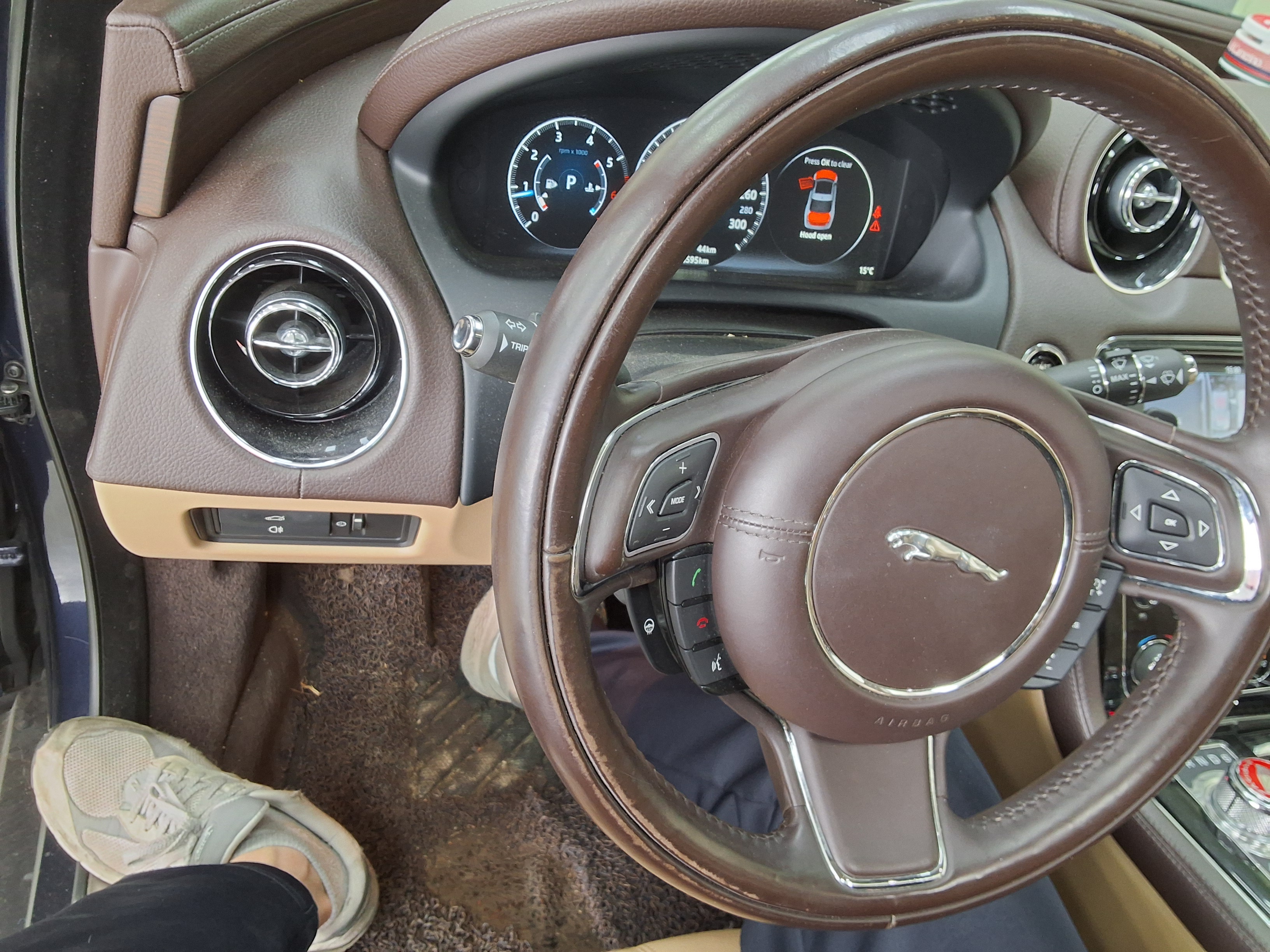 Jaguar Jaguar 2016 - Image 16
