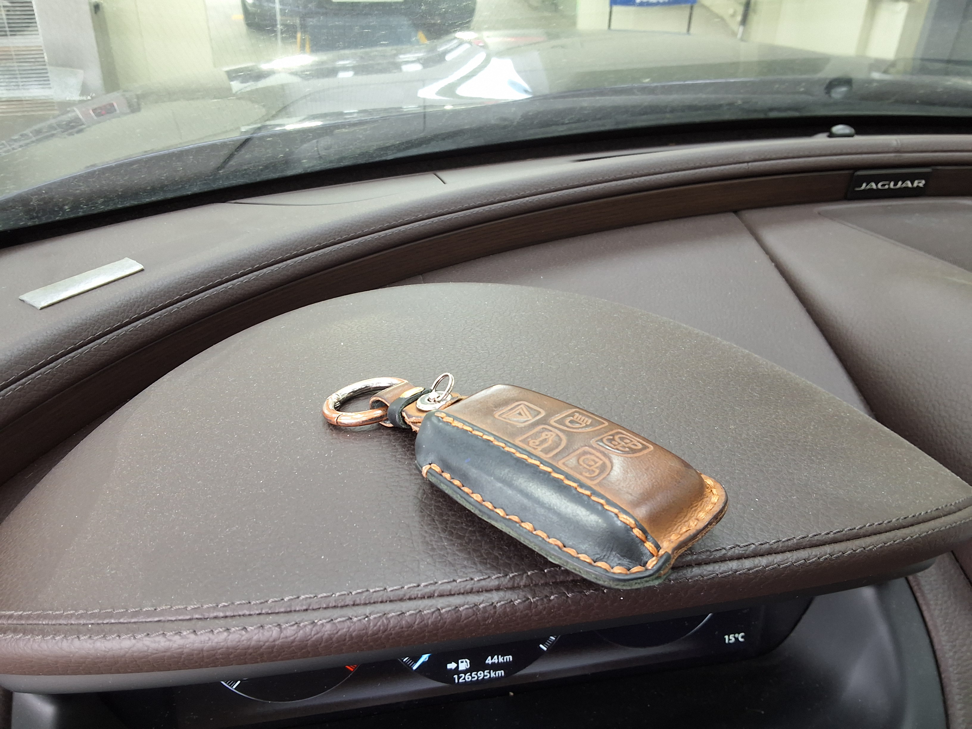 Jaguar Jaguar 2016 - Image 17