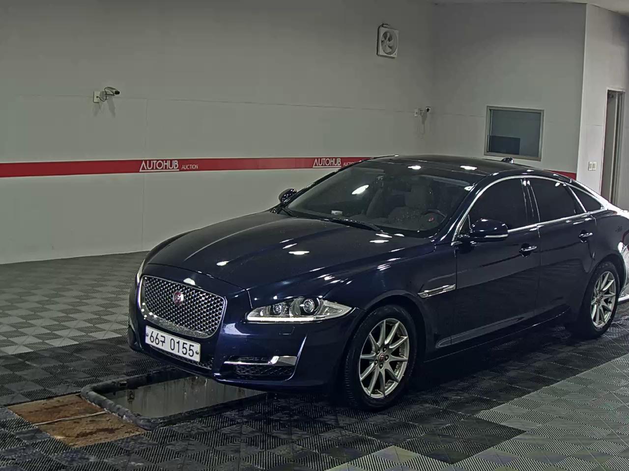 Jaguar Jaguar