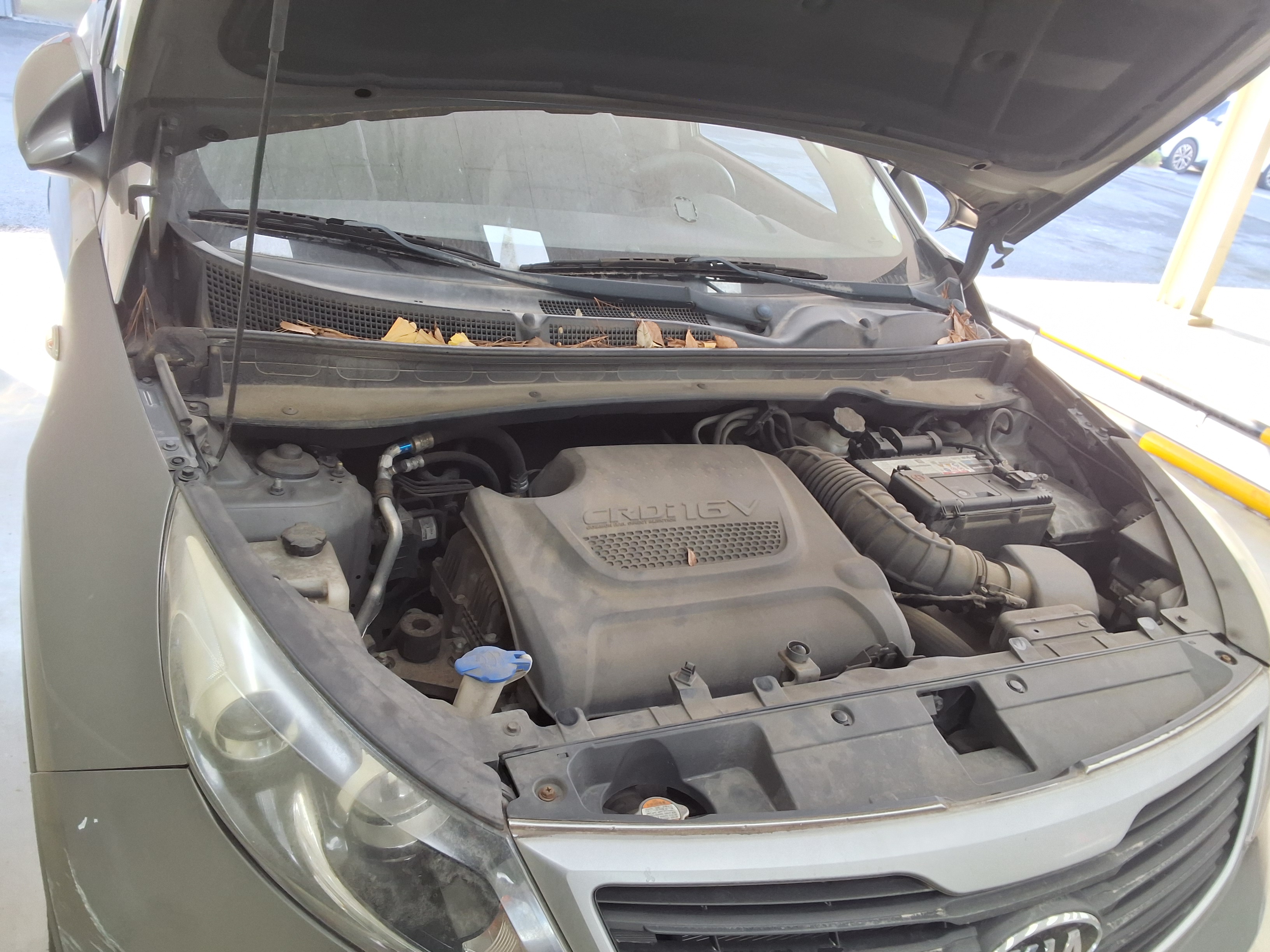 كيا سبورتاج 2012 - صورة 20