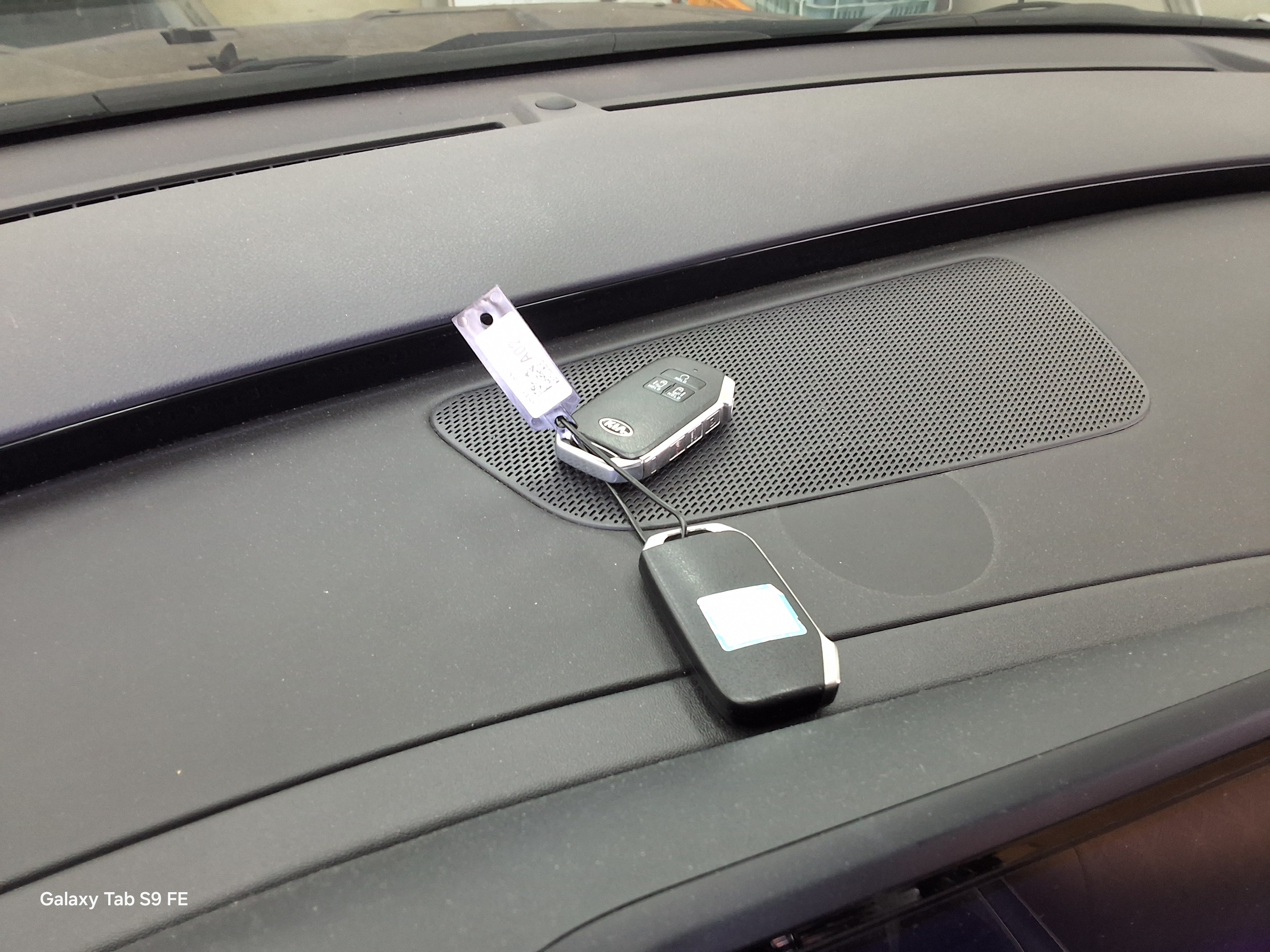 Kia Carnival - 18