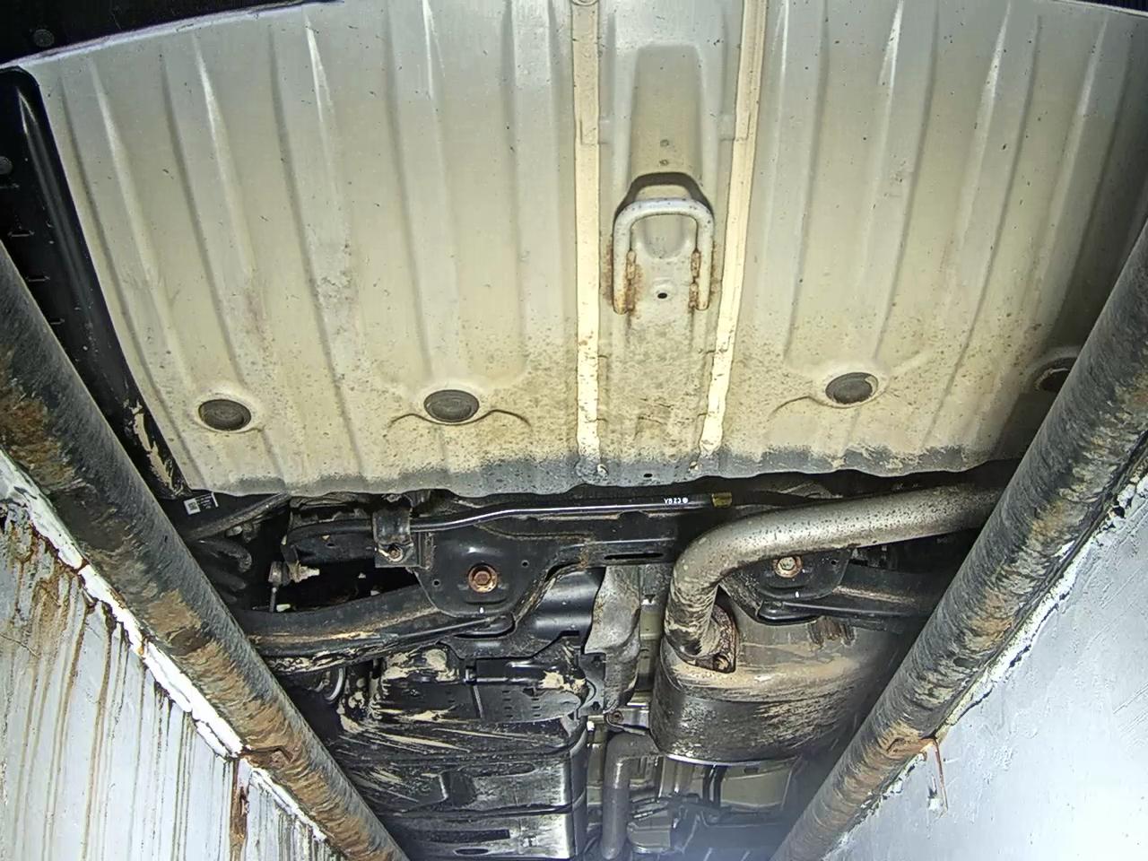 Kia Carnival - 7