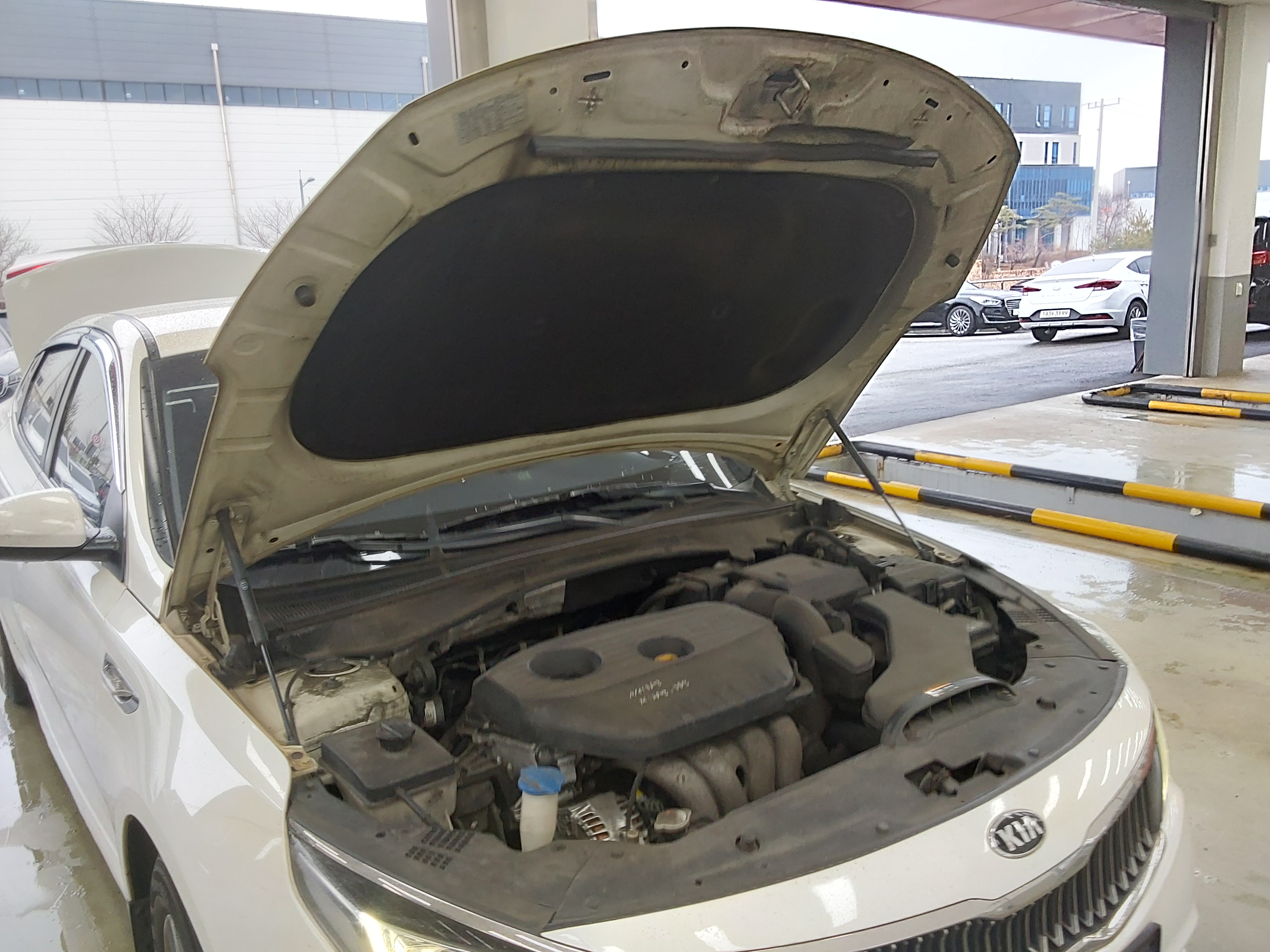 Kia 뉴 2020 - Image 17
