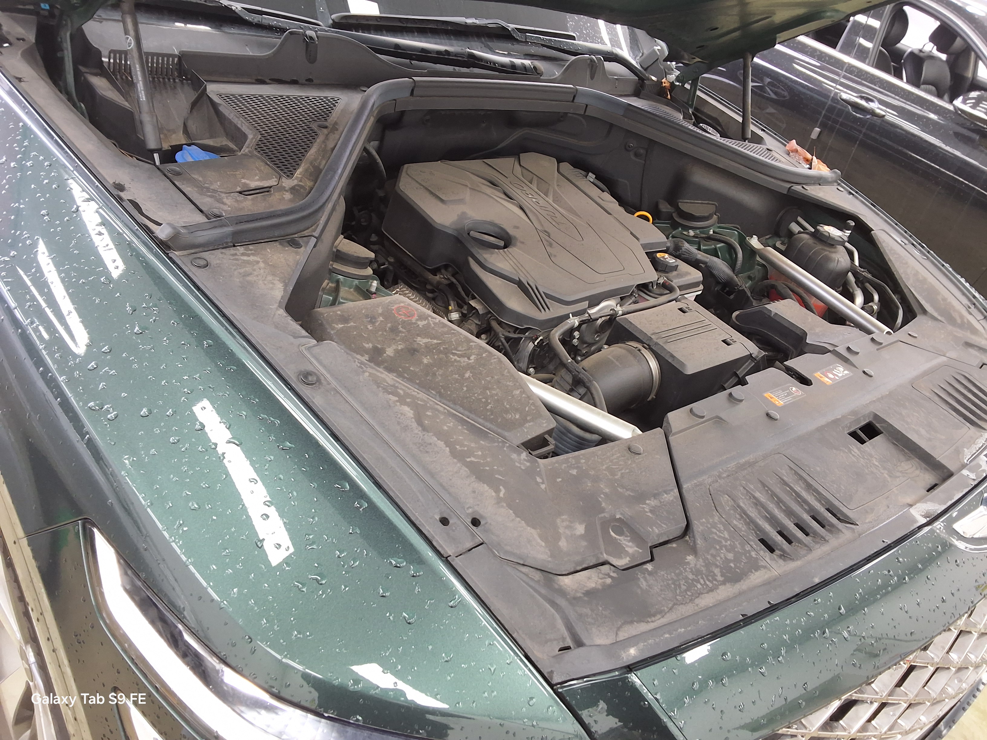 Genesis GV80 - 19