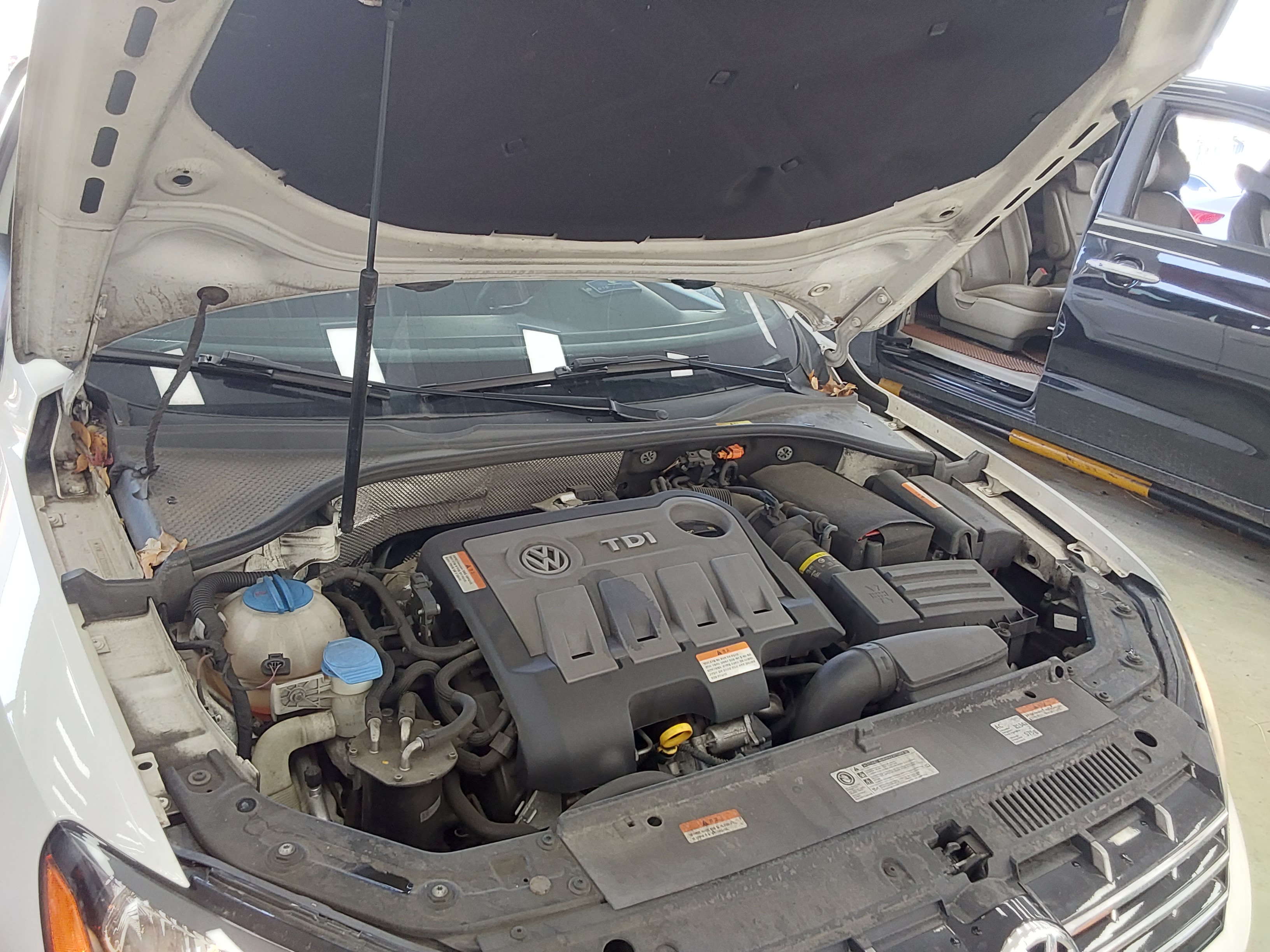 Volkswagen Other - 19