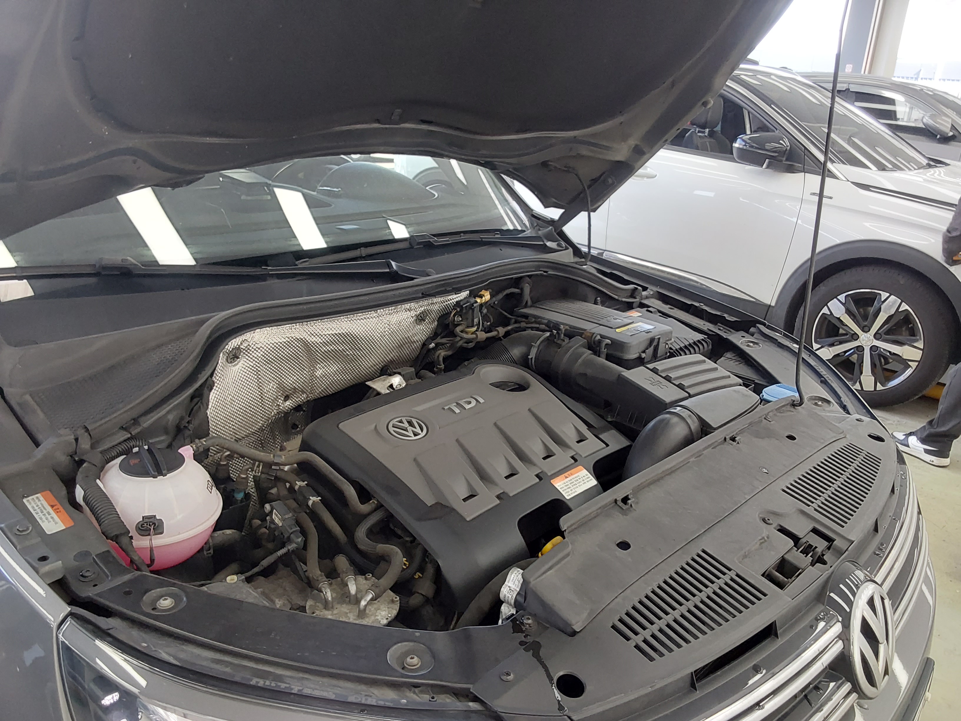 Volkswagen Tiguan - 19