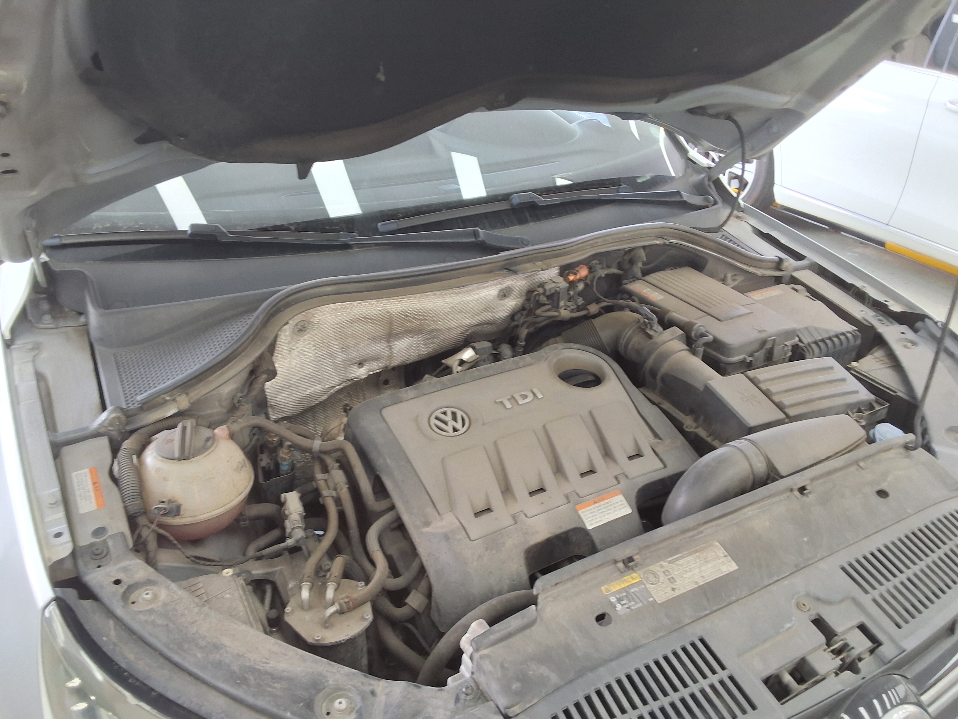 VOLKSWAGEN 티구안 - 20
