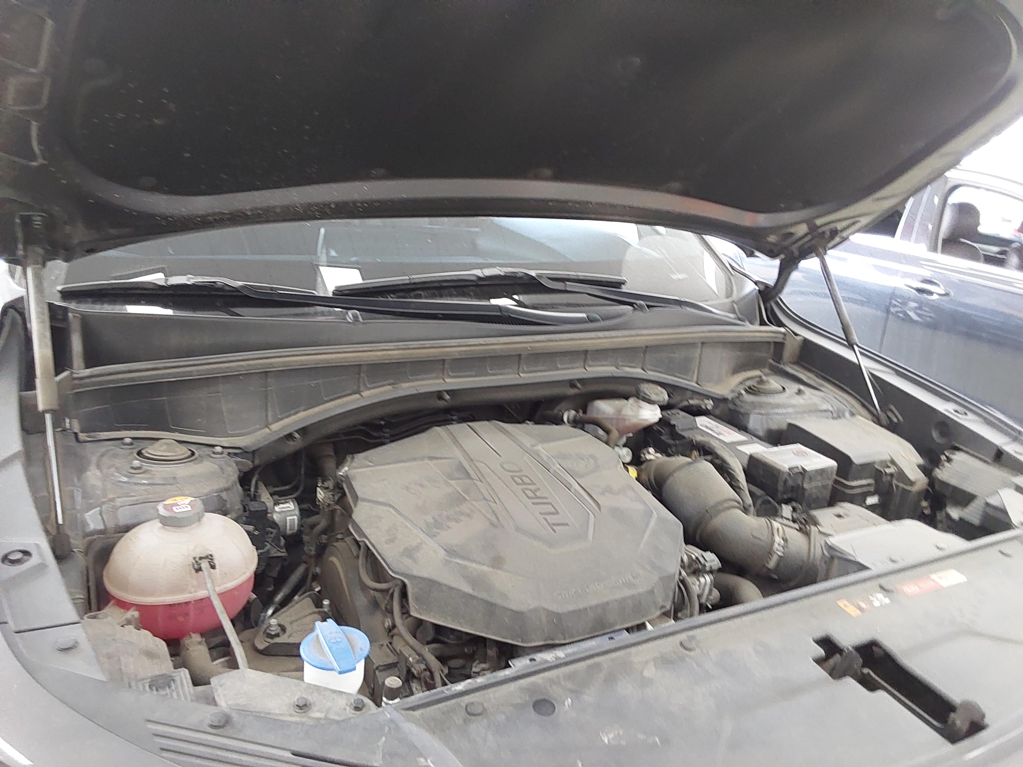 كيا أخرى 2021 - صورة 18