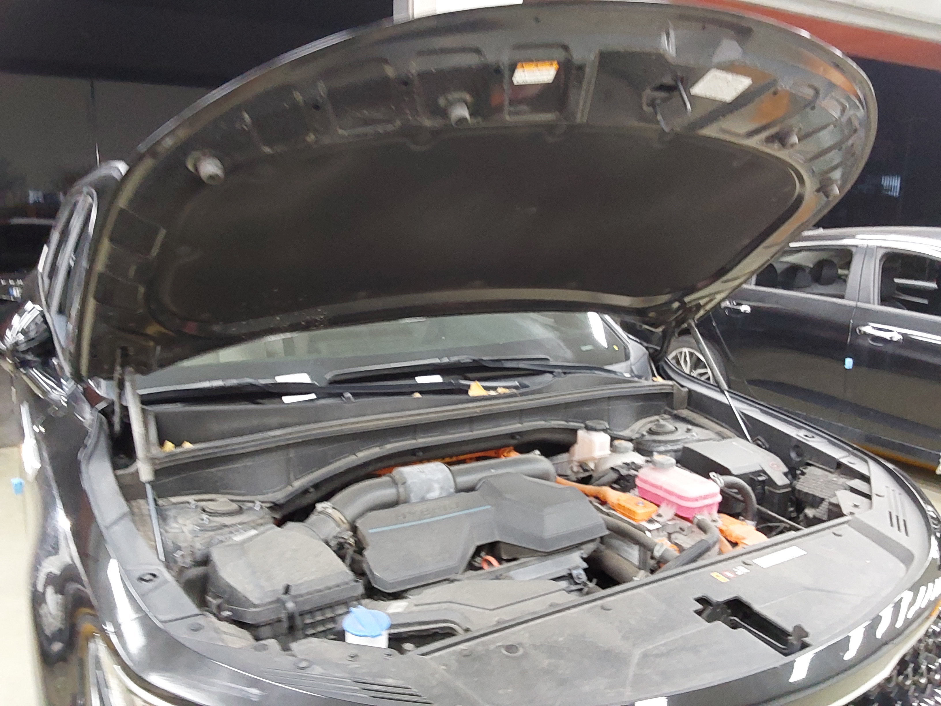 Kia Other 2021 - Image 19