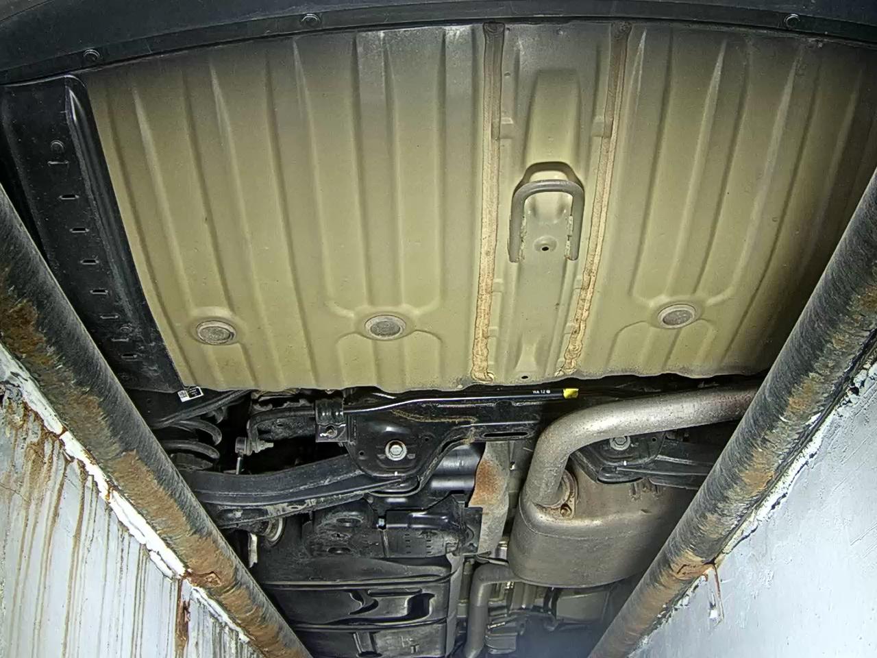Kia Carnival - 7