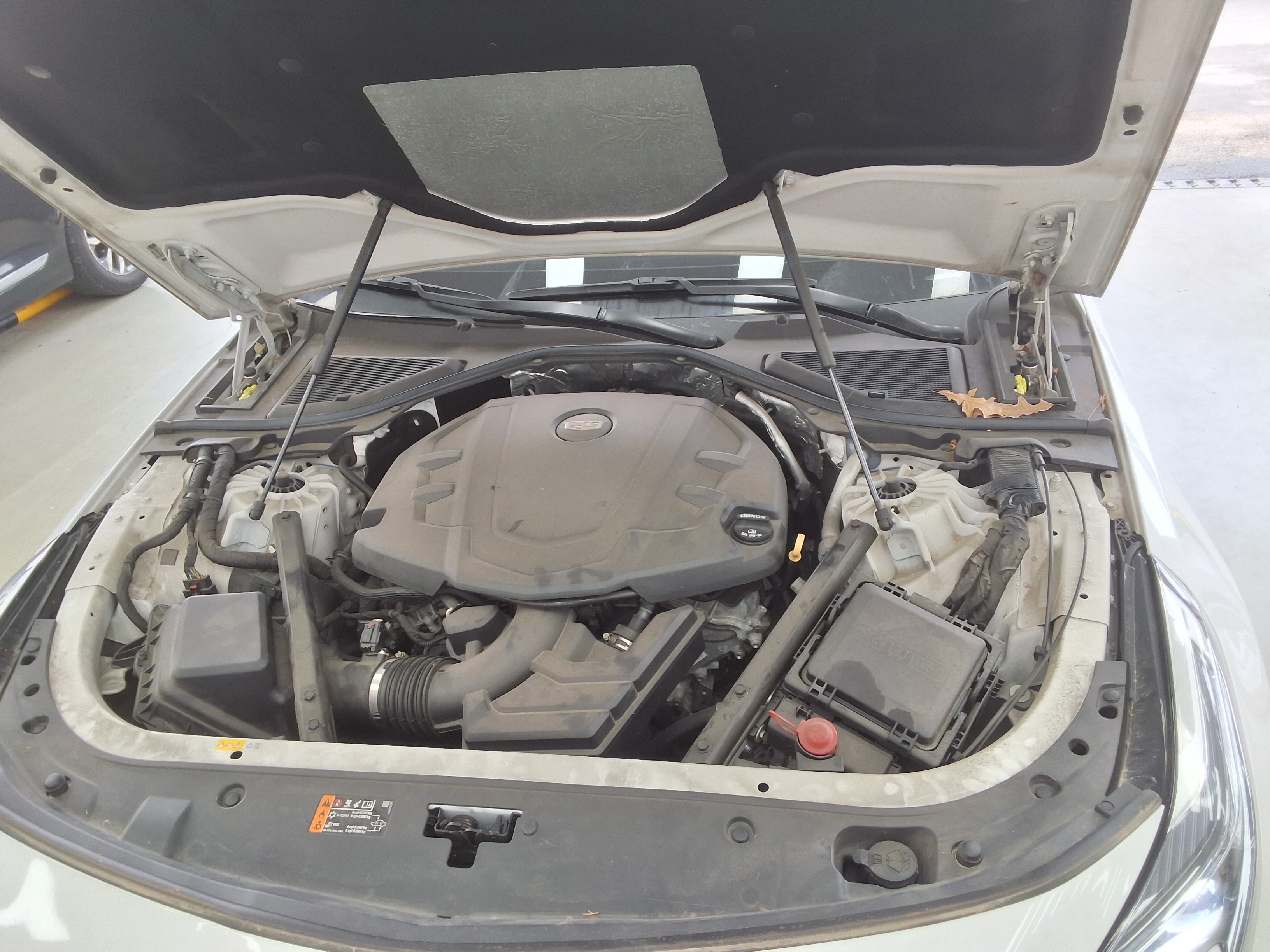 GENERAL MOTORS 캐딜락 - 21