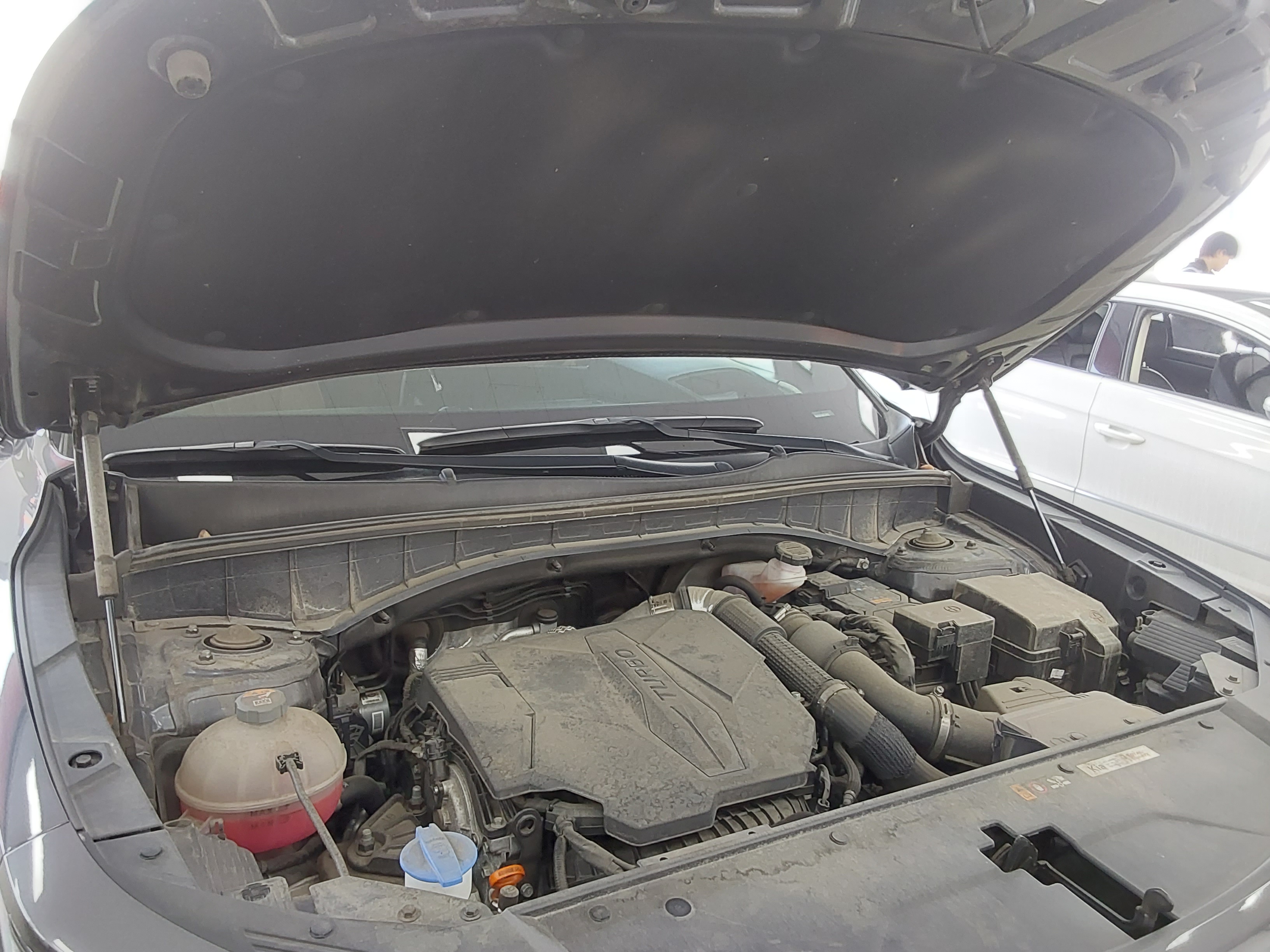 Kia Sorento MQ4 - 19