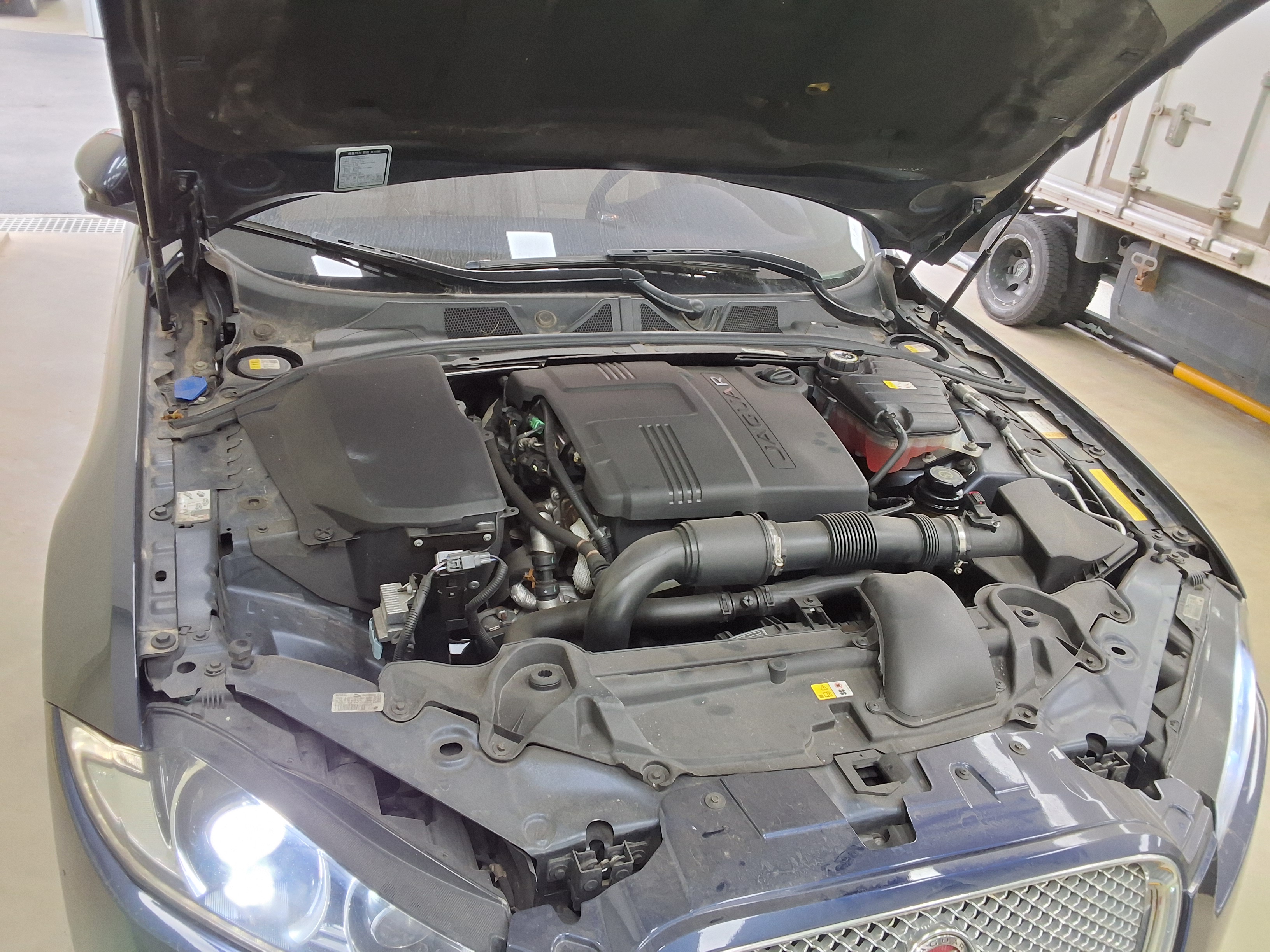 Jaguar Jaguar 2015 - Image 20