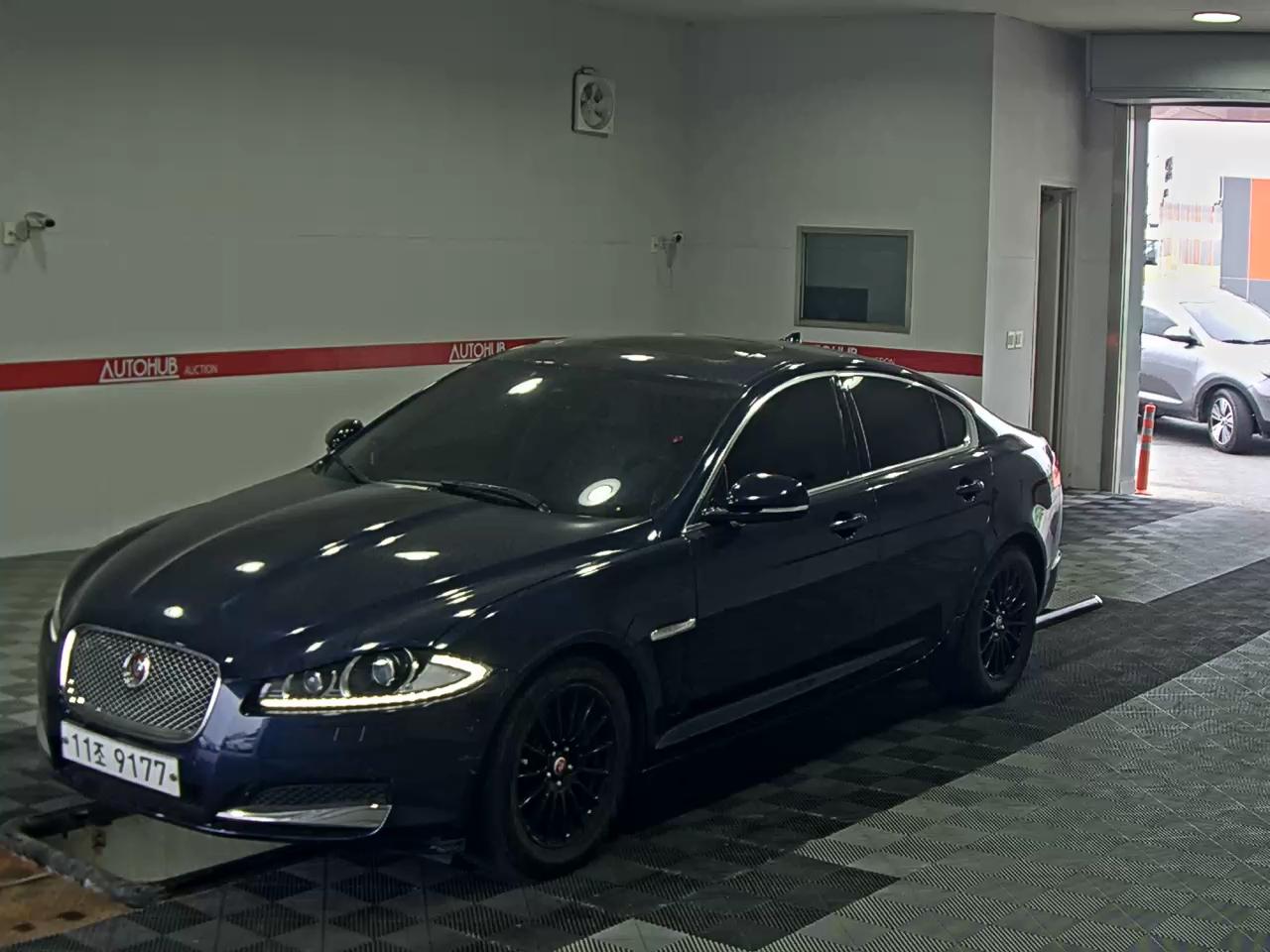 Jaguar Jaguar