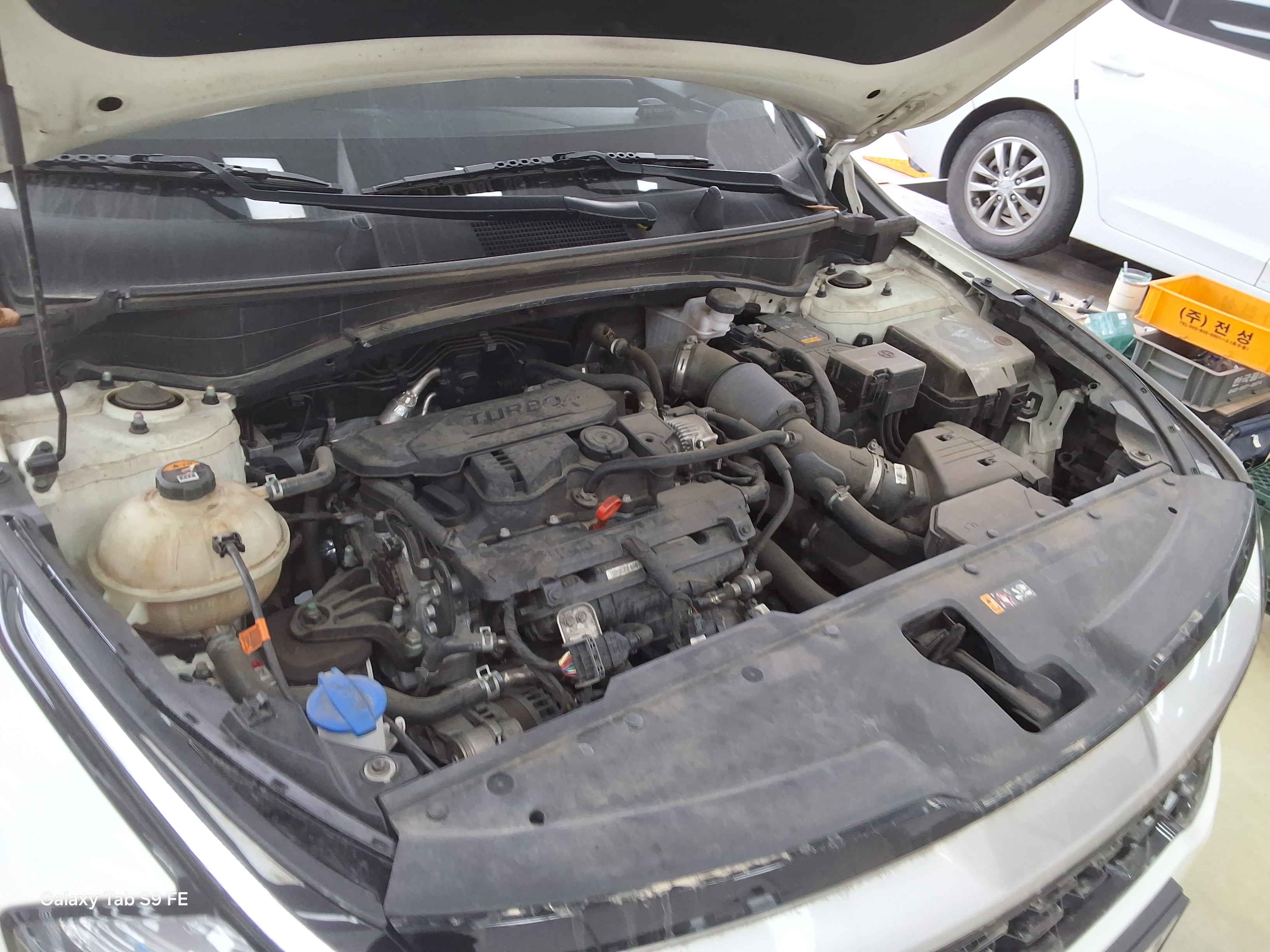 Kia Other 2023 - Image 19