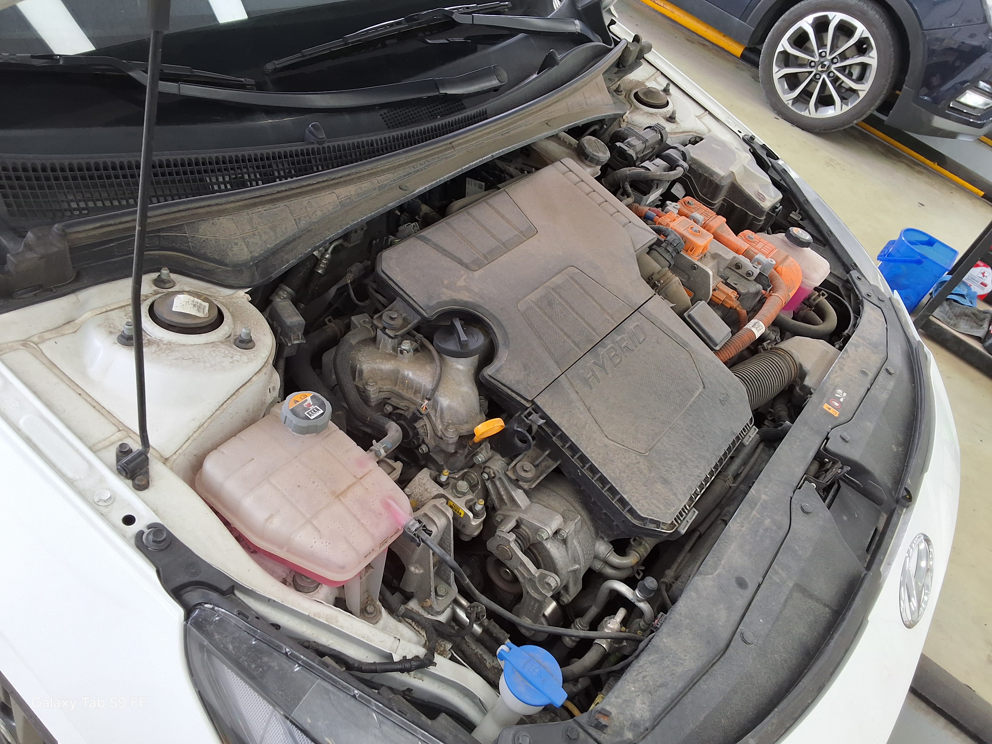 Hyundai Elantra - 19