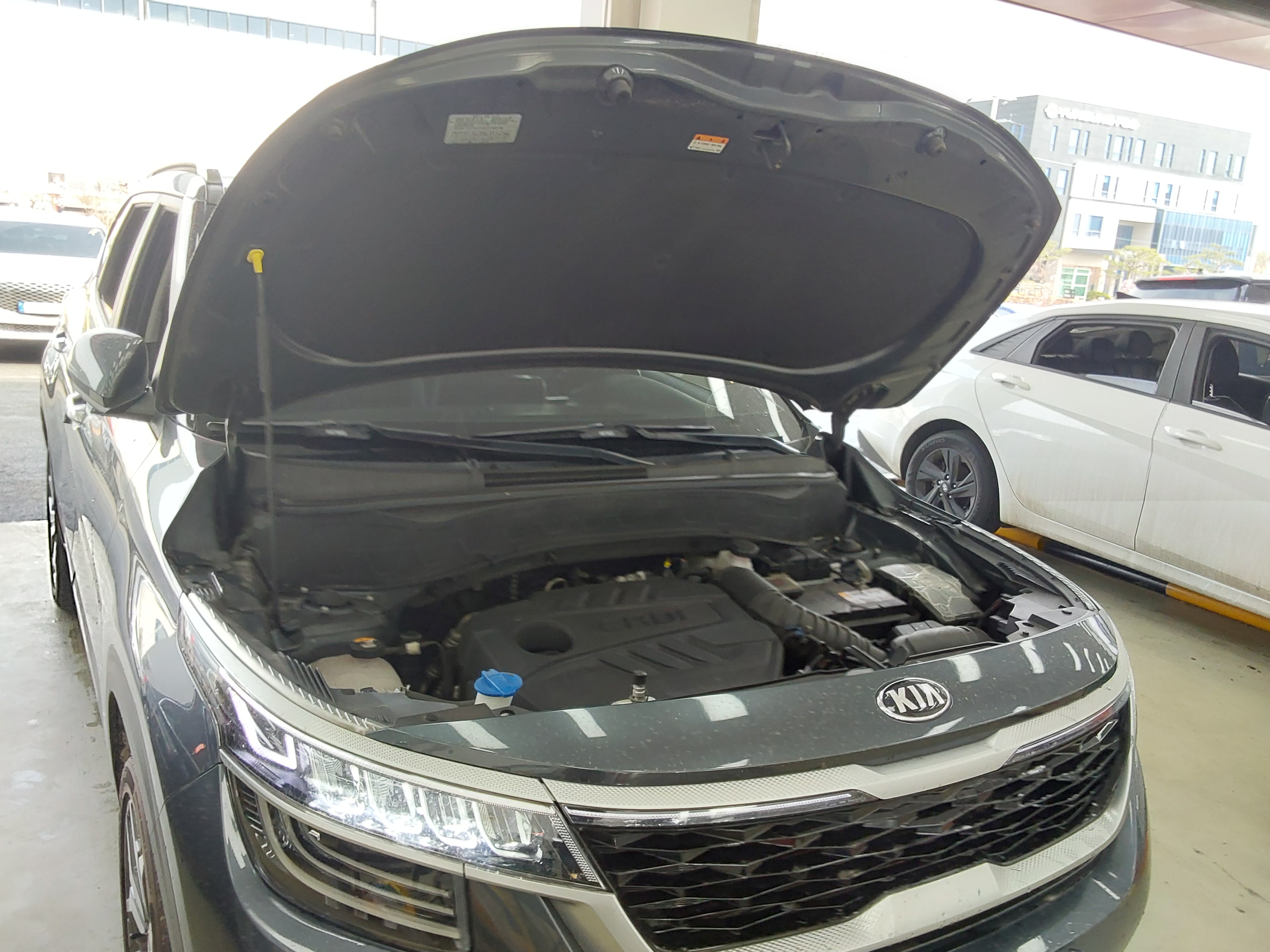 Kia Seltos 2022 - Image 20