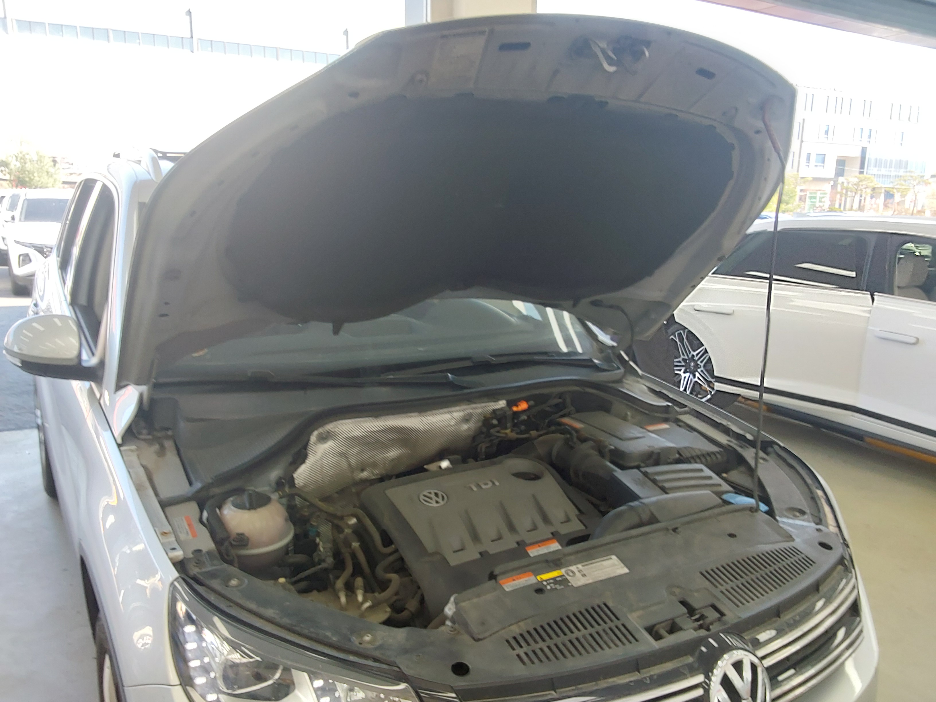 Volkswagen Tiguan - 19