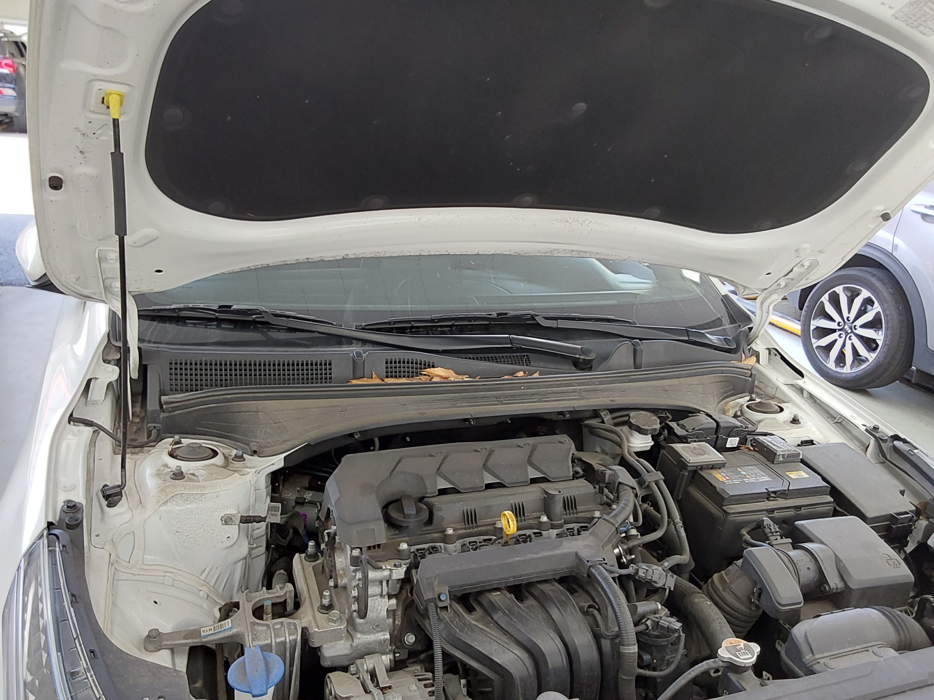 기아자동차 K3 2023 - 이미지 17