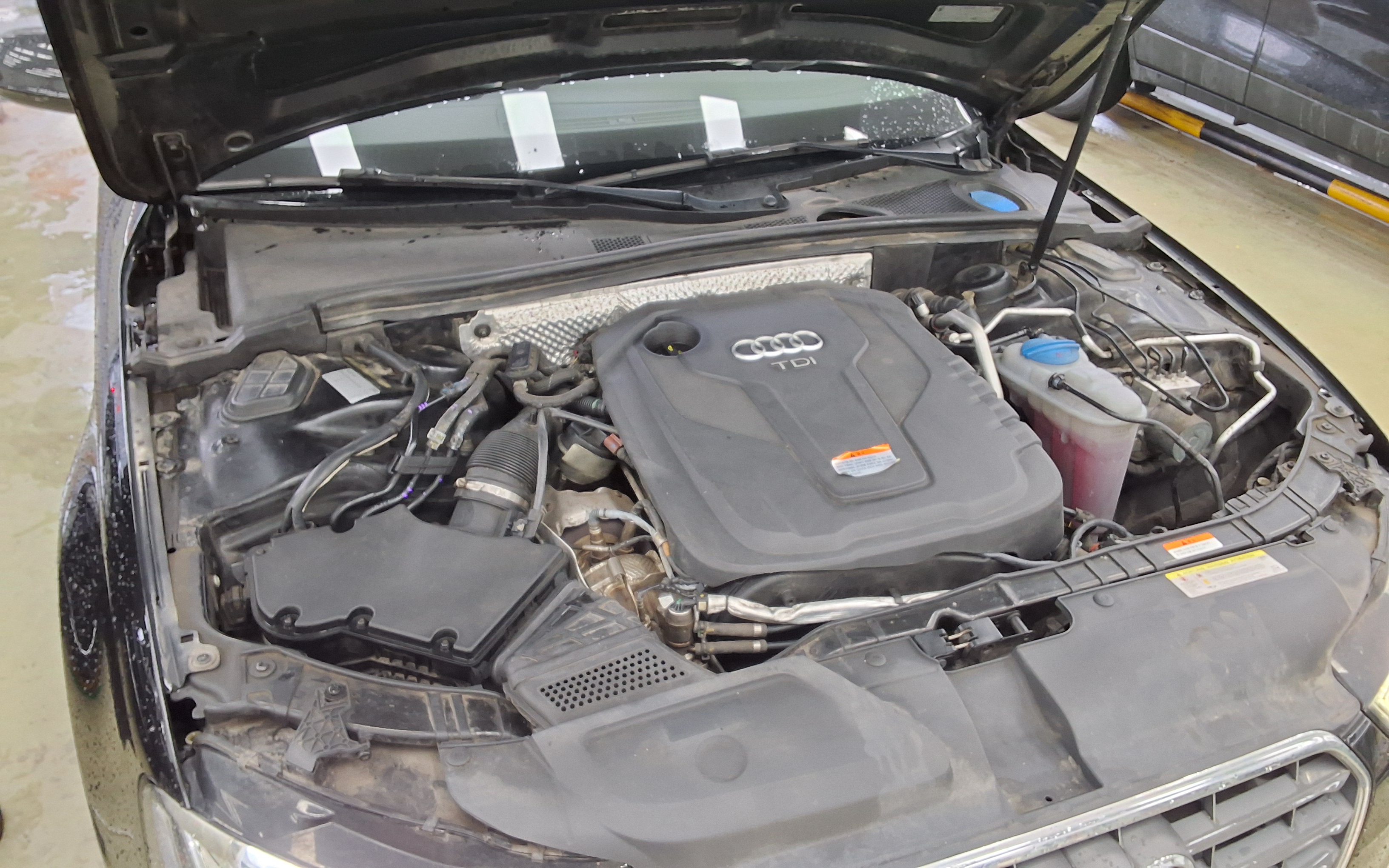 Audi A4 - 18