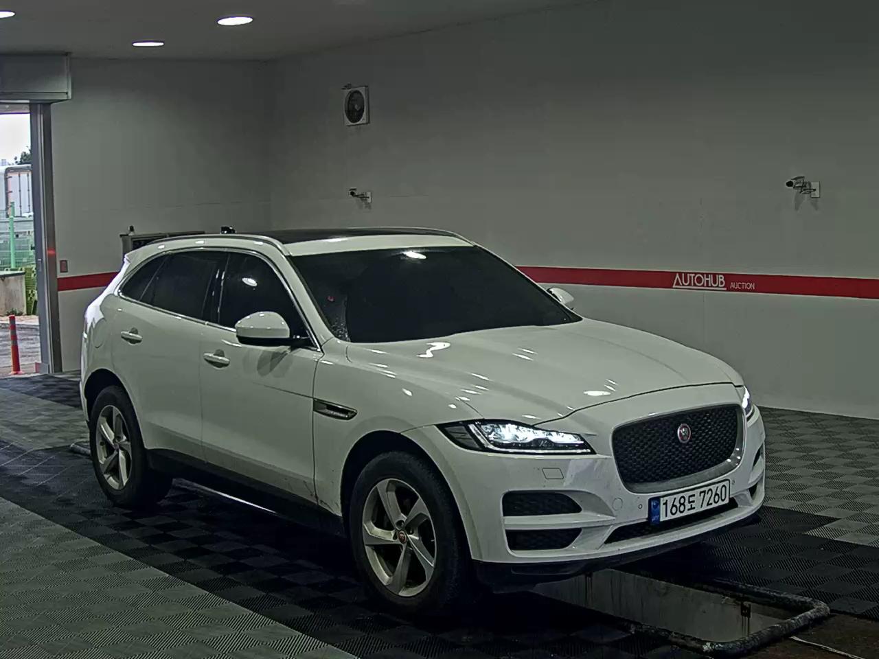 Jaguar Jaguar - 2