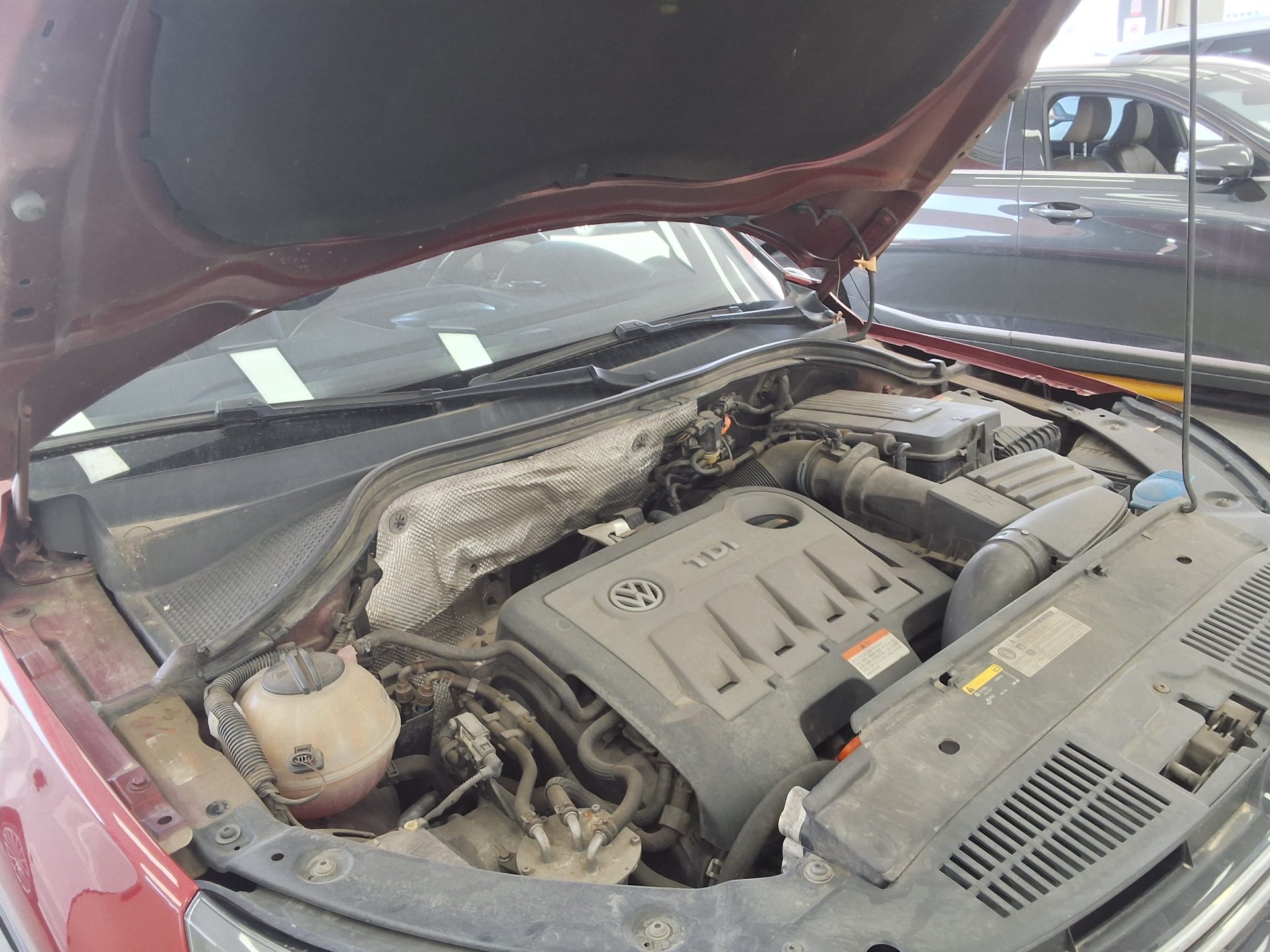 VOLKSWAGEN 티구안 - 16
