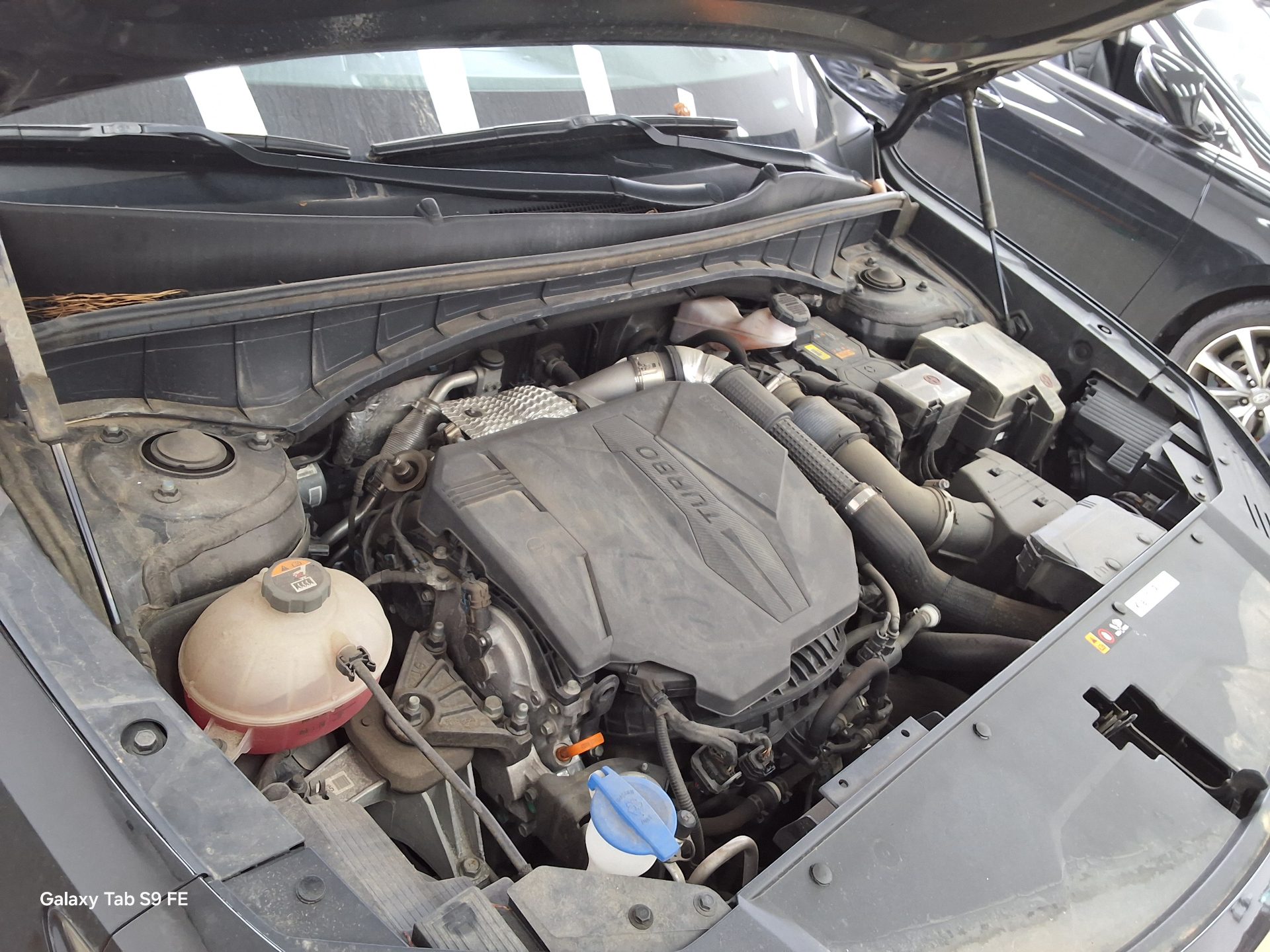 كيا أخرى 2021 - صورة 19