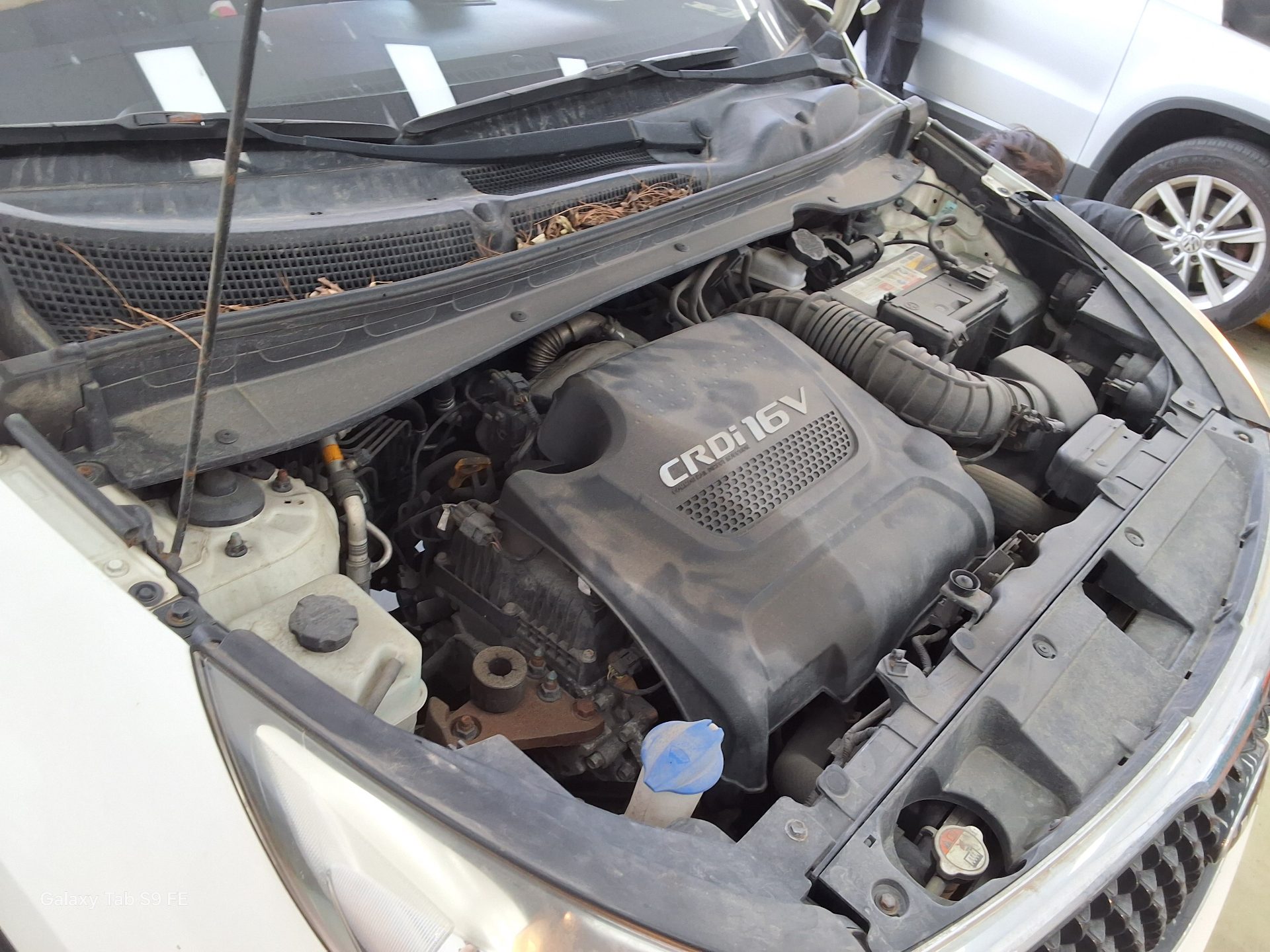 كيا أخرى 2015 - صورة 19